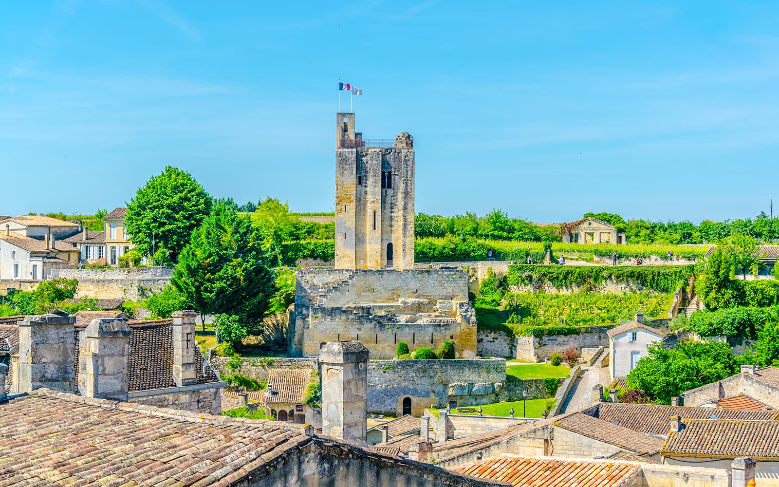 Saint-Émilion Guided Walking Tour