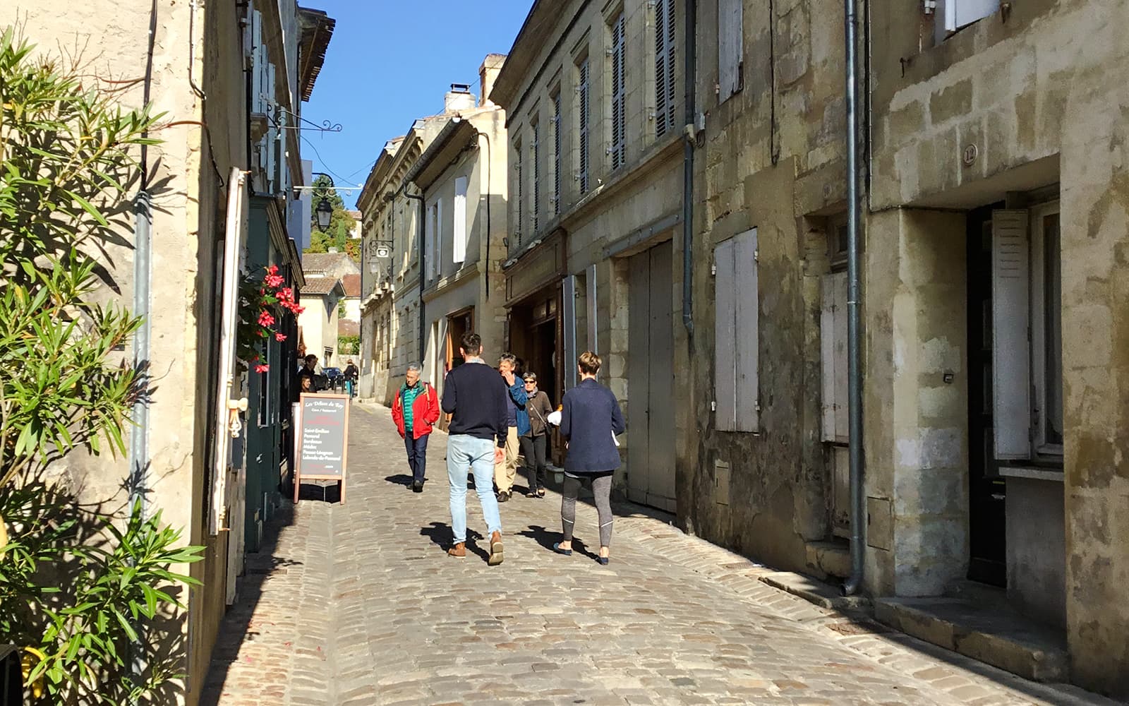 Saint-Émilion Guided Walking Tour tickets in Bordeaux - Highlights | TickYourList