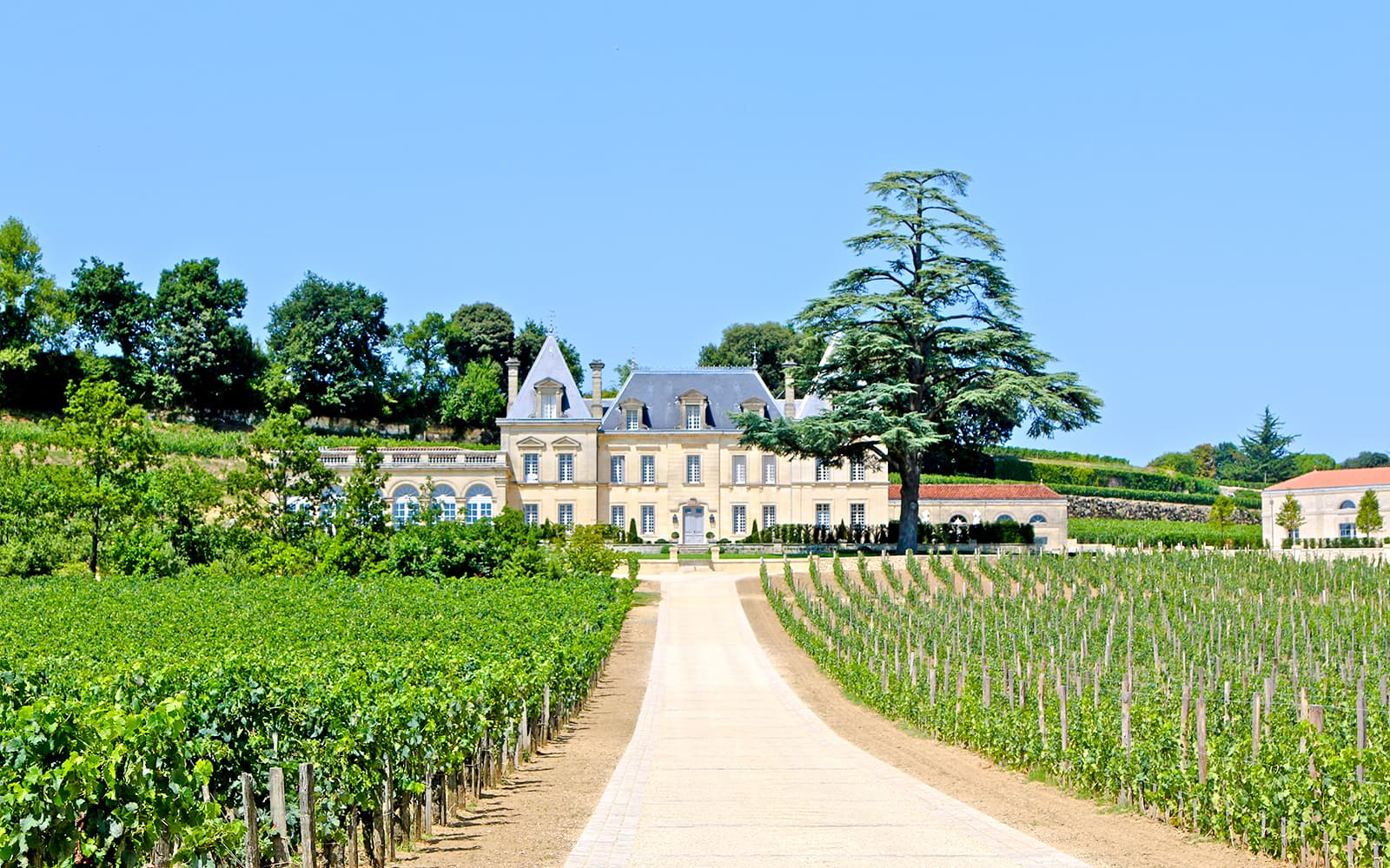 Saint-Émilion Guided Walking Tour tickets in Bordeaux - Features | TickYourList