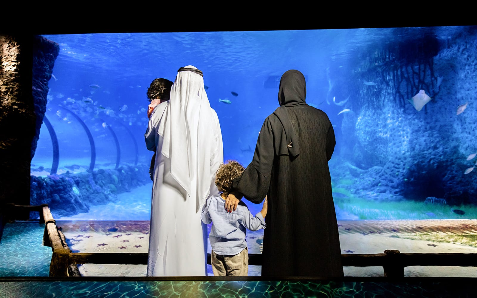 9572154a-de17-4b24-86c8-e33cfb71d074-14122-abu-dhabi-abu-dhabi-national-aquarium-tickets-04.jpg