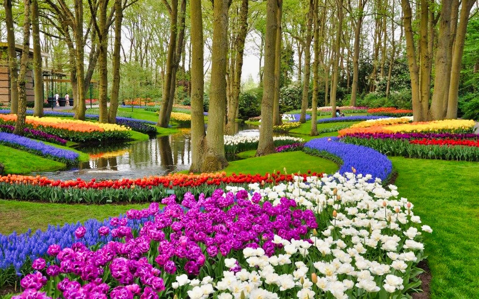 Brussels to Amsterdam Day Trip with a Guided Boat Tour tickets in Brussels - Highlights | TickYourList