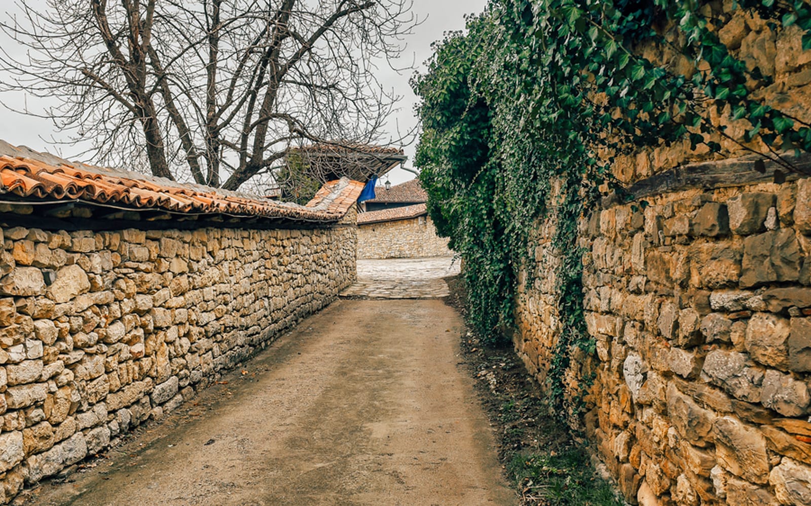 Medieval Bulgaria Tour: Day Trips from Bucharest tickets in Bucharest - Attractions | TickYourList