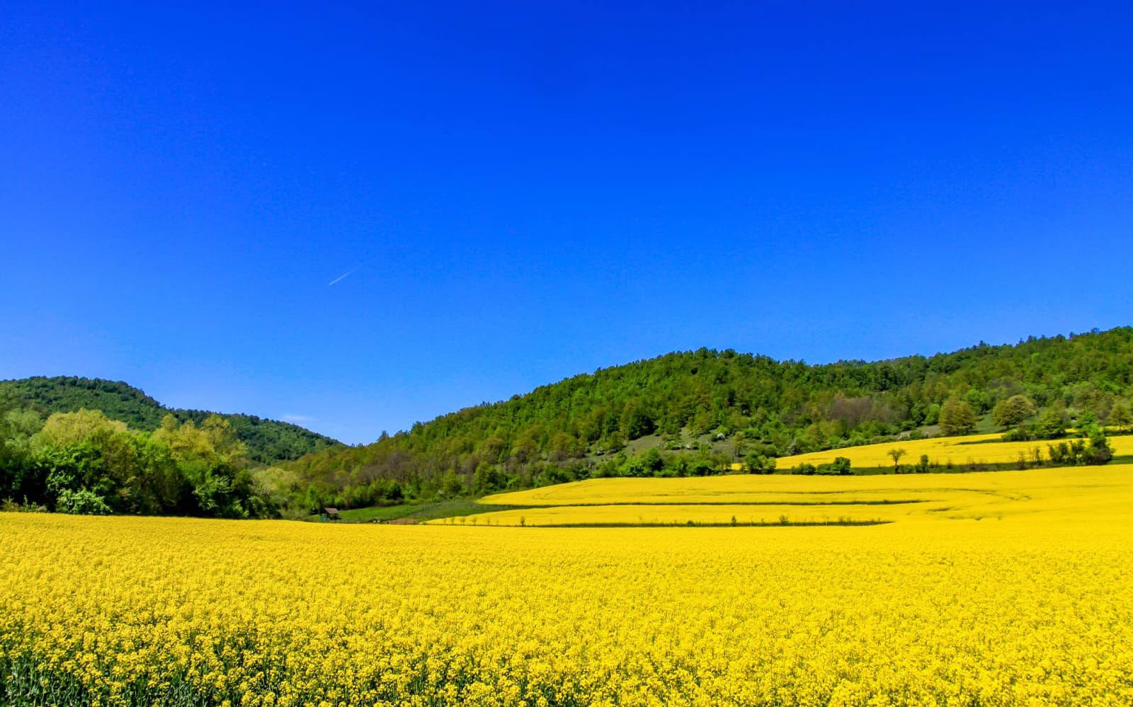 Experience Bulgaria Tour