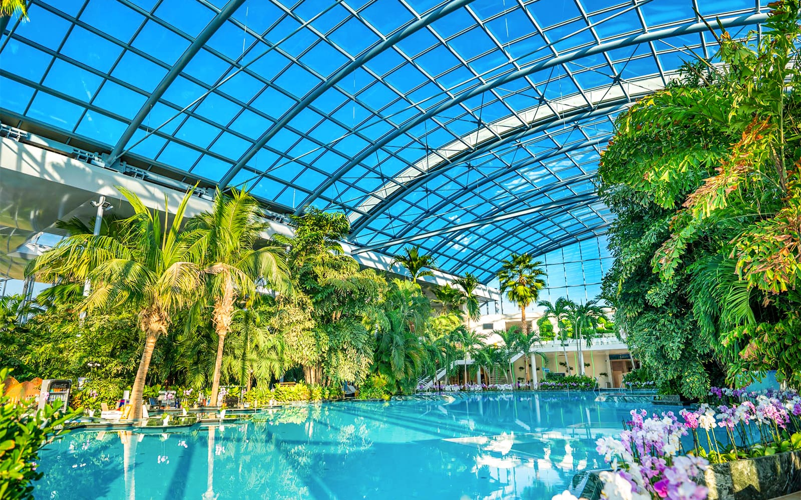 Therme Bucharest Entry Tickets with Transfers experience in Bucharest | TickYourList