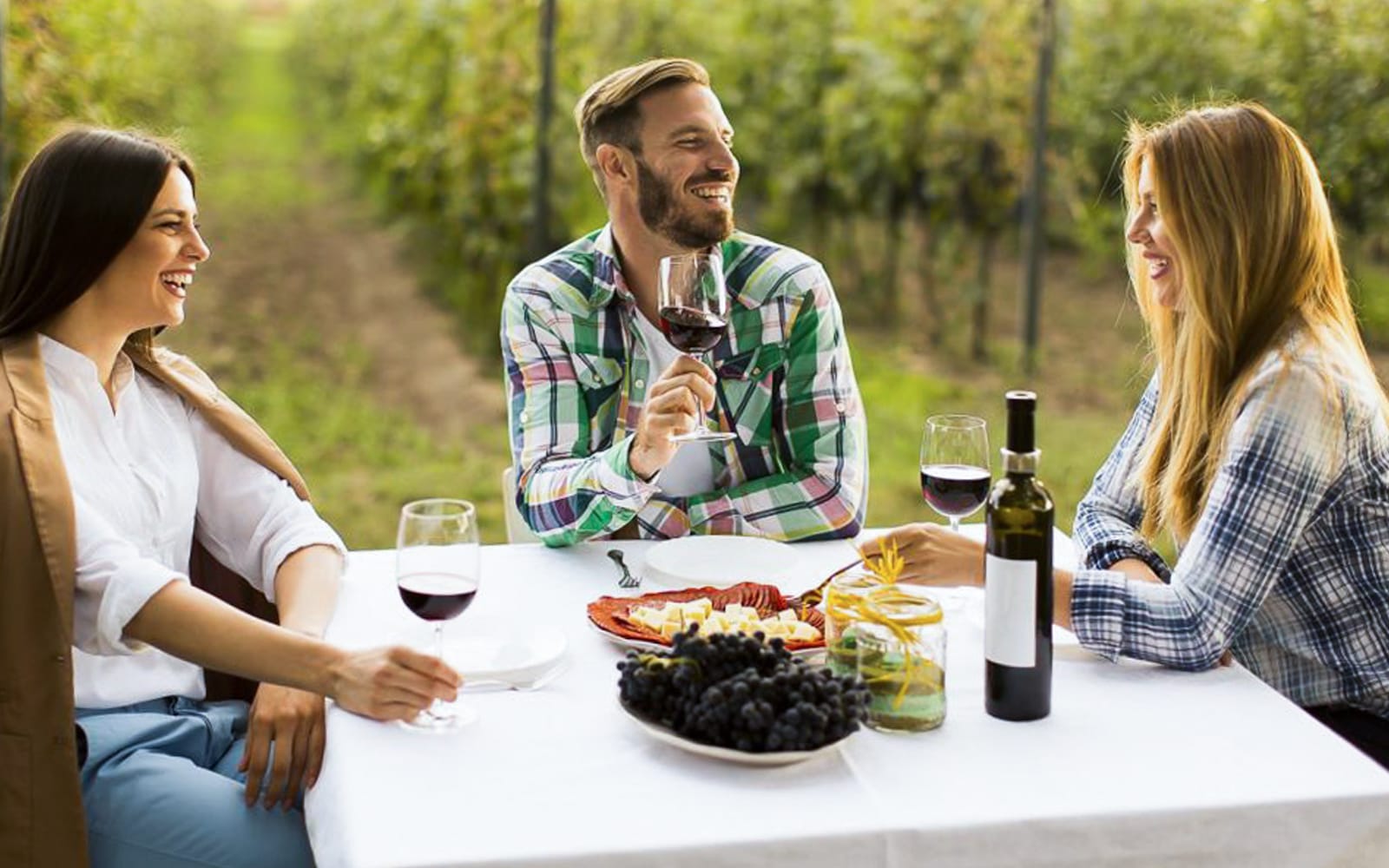 Budureasca Winery: Wine Blending Workshop with Wine Tasting & Lunch tickets in Bucharest - Activities | TickYourList