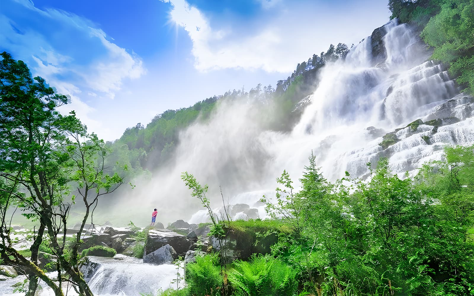 From Bergen: Nærøyfjord Cruise, Flåm, and Stegastein Guided Bus Tour tickets in Bergen - Activities | TickYourList