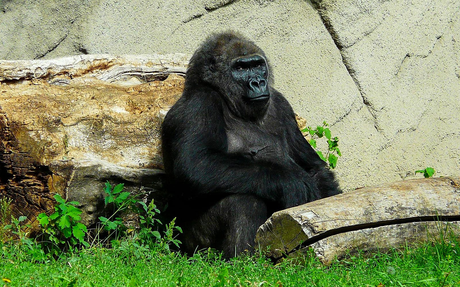 Entrance Tickets to the Budapest Zoo and Botanical Garden in Budapest - Highlights | TickYourList