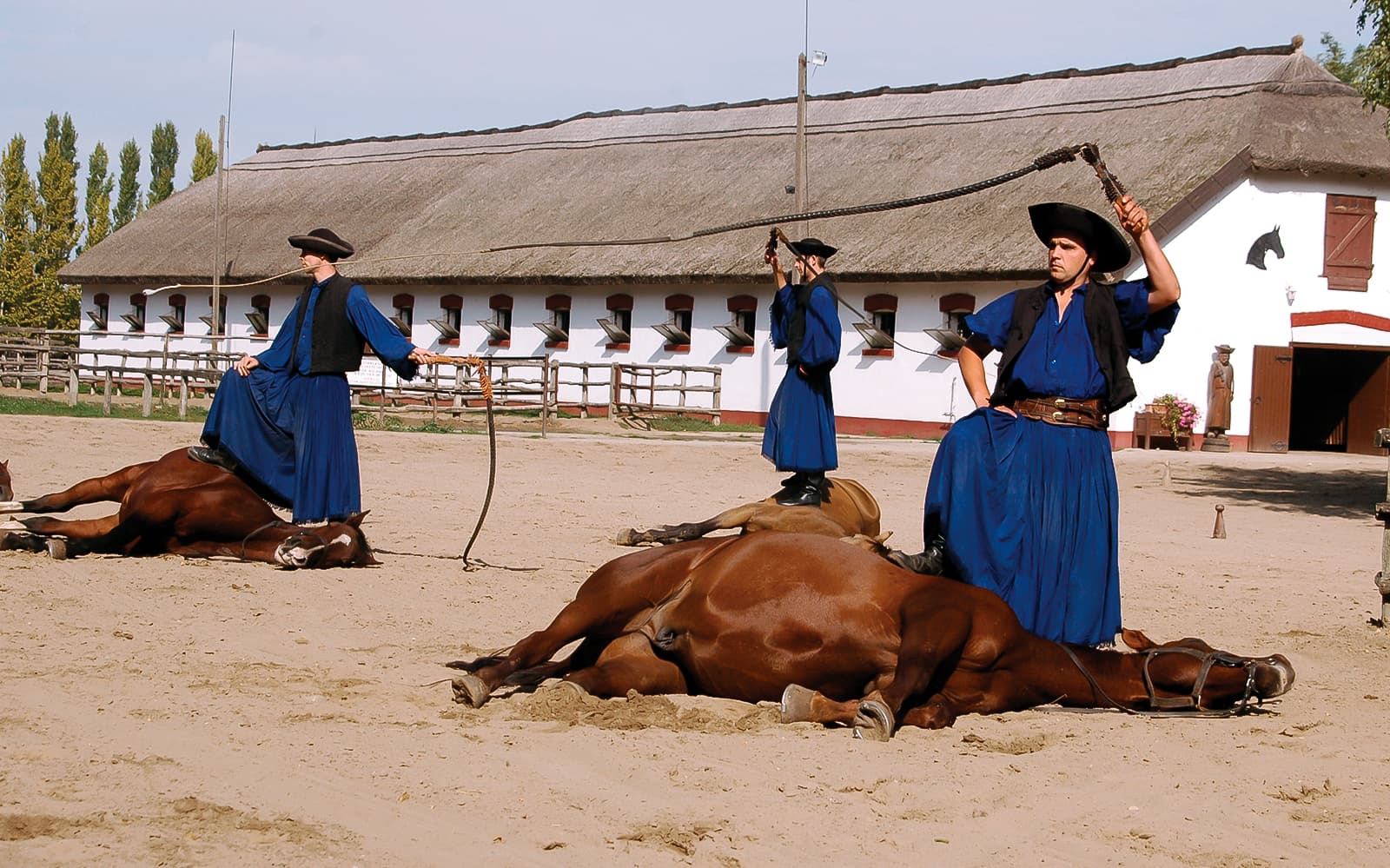 Puszta Day Trip to Kecskemét from Budapest including Horse Show & Lunch