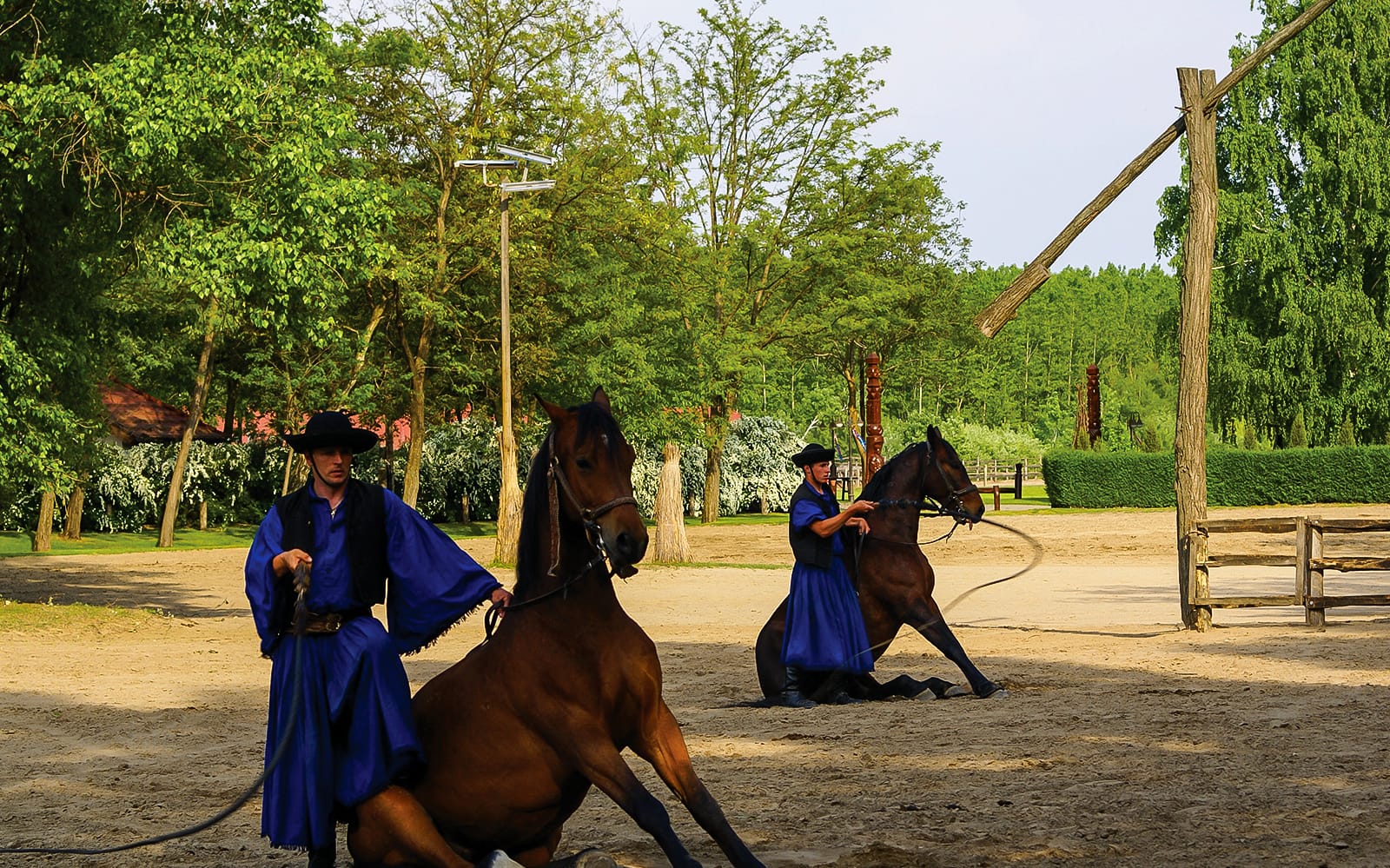 Puszta Day Trip to Kecskemét from Budapest including Horse Show & Lunch tickets in Budapest - Activities | TickYourList