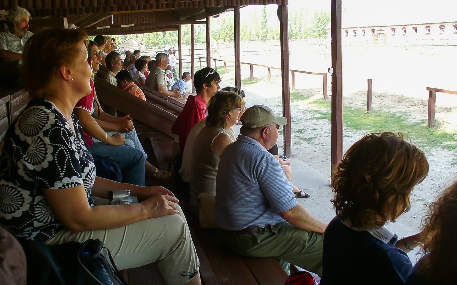 Puszta Day Trip to Kecskemét from Budapest including Horse Show & Lunch tickets in Budapest - Features | TickYourList