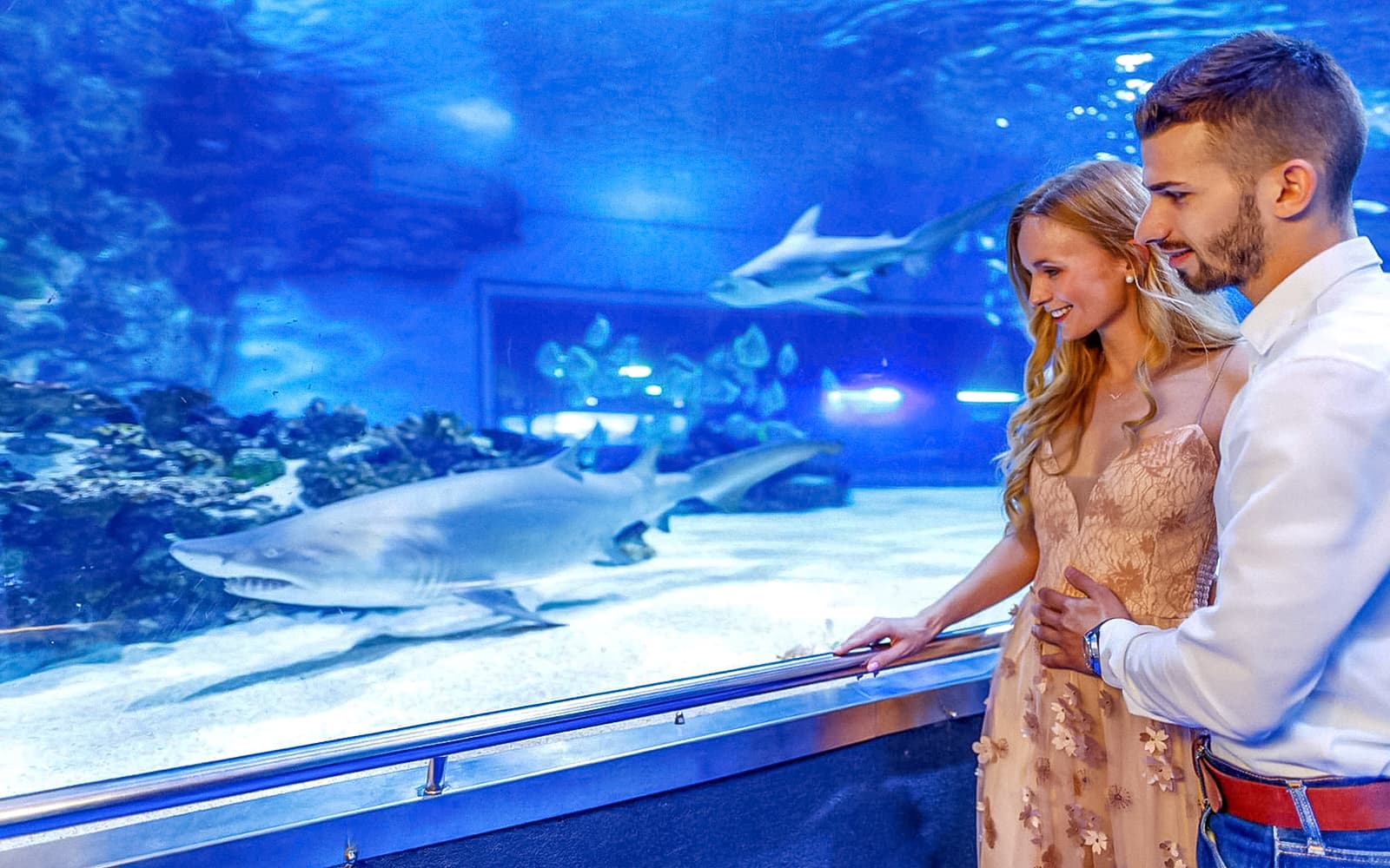 Tropicarium Budapest Fast-Track Entry Tickets in Budapest - Attractions | TickYourList