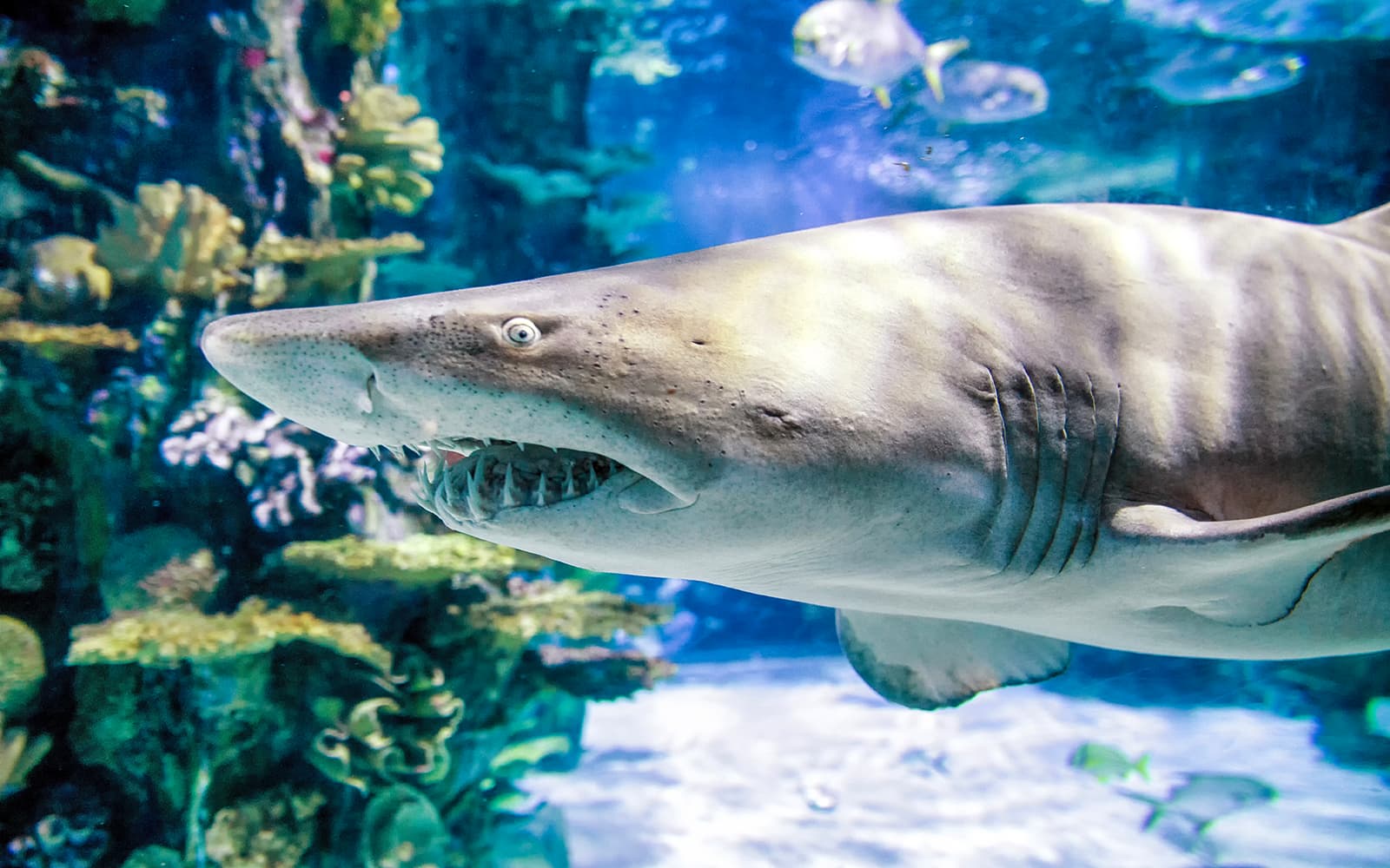 Tropicarium Budapest Fast-Track Entry Tickets in Budapest - Activities | TickYourList