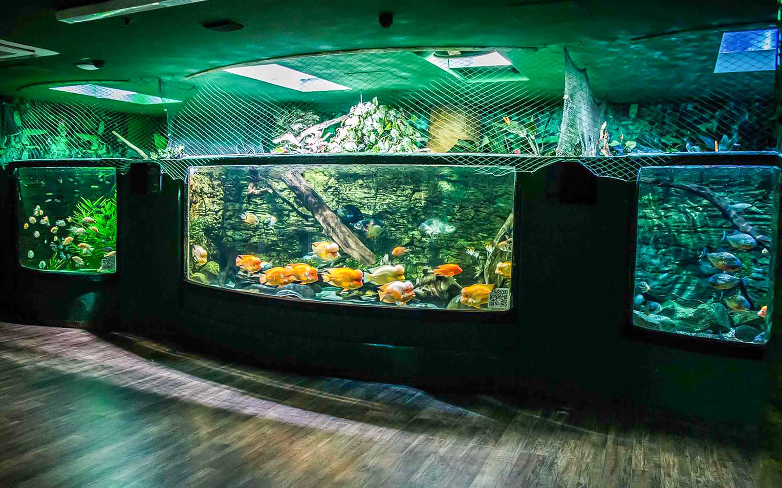 Tropicarium Budapest Fast-Track Entry Tickets in Budapest - Highlights | TickYourList