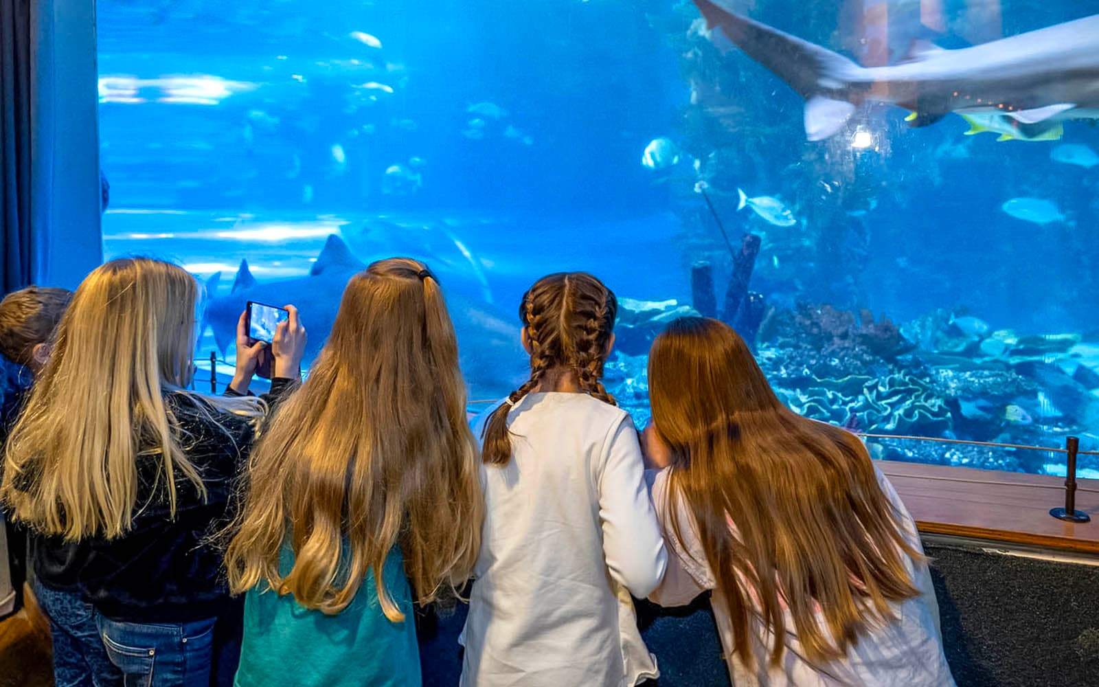 Tropicarium Budapest Fast-Track Entry Tickets in Budapest - Features | TickYourList