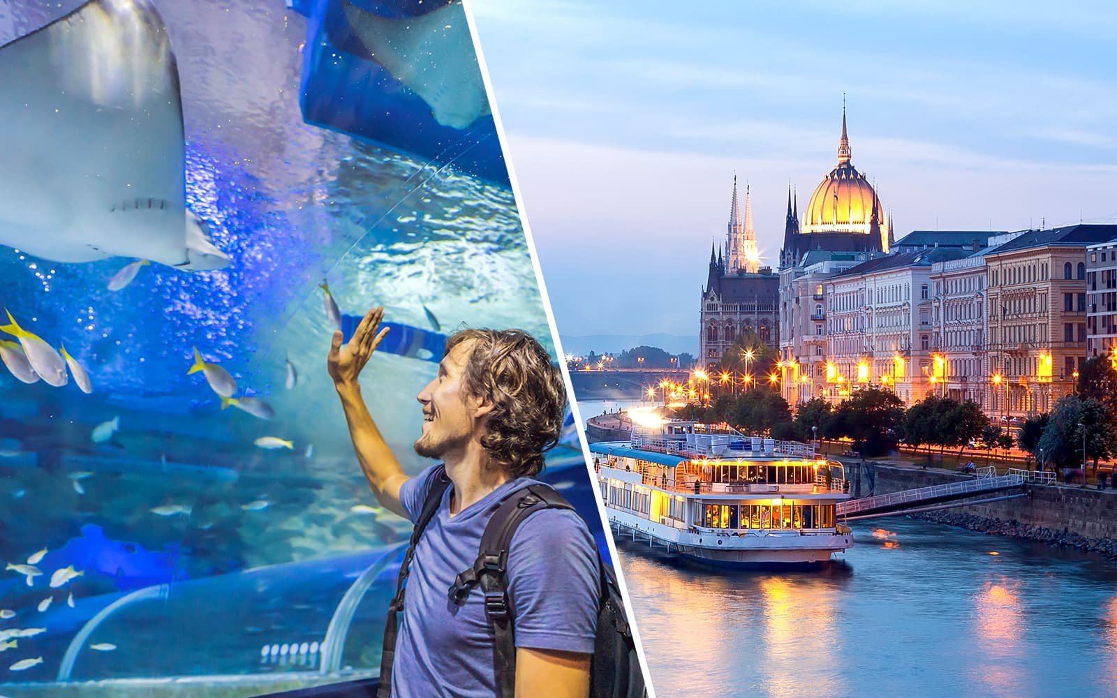 Combo: Budapest Tropicarium-Entry Ticket + Budapest Day or Evening Danube River Sightseeing Cruise with Drinks