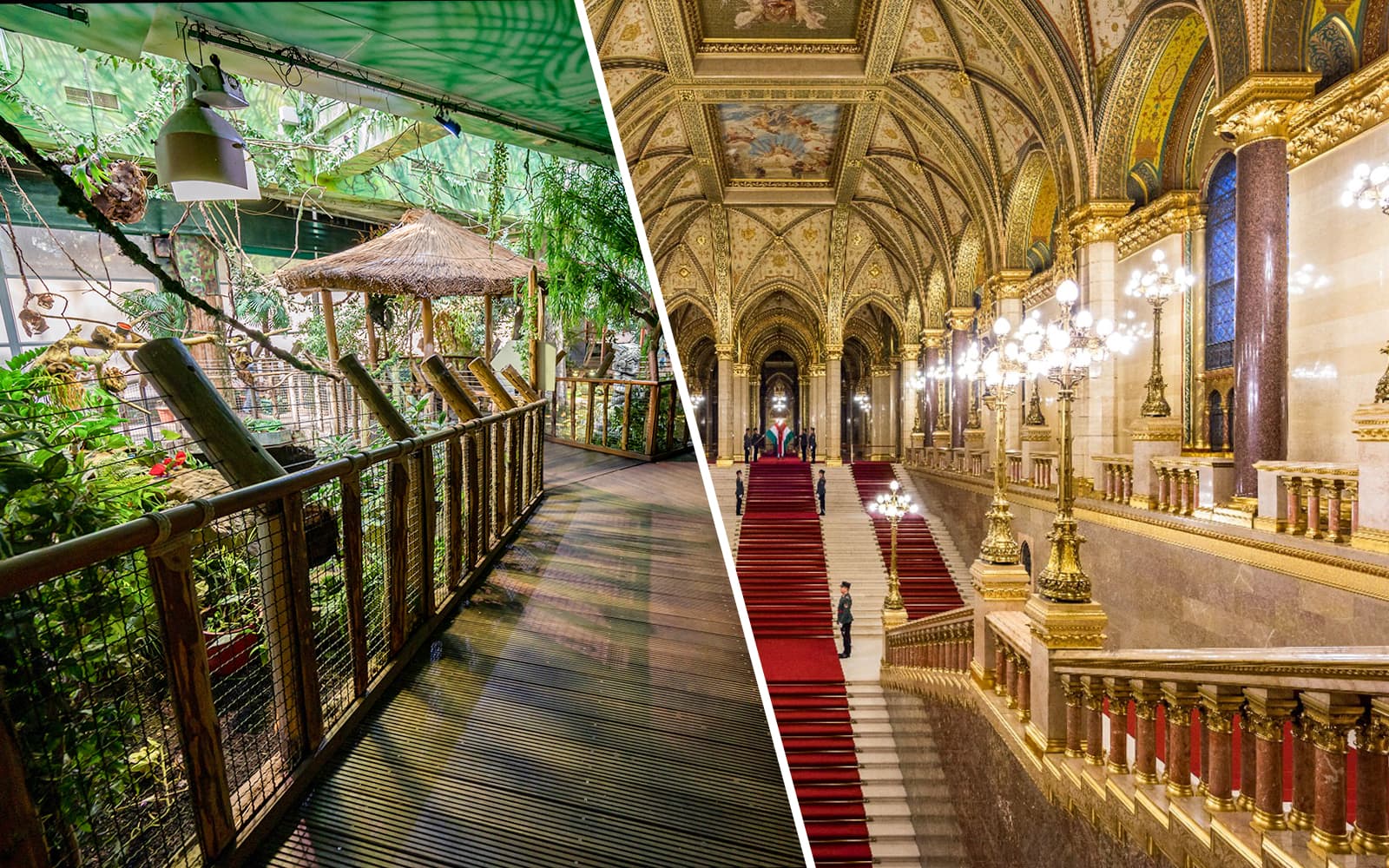 Combo: Tropicarium Budapest Fast-Track Entry Tickets + Hungarian Parliament Audio Guided Tour