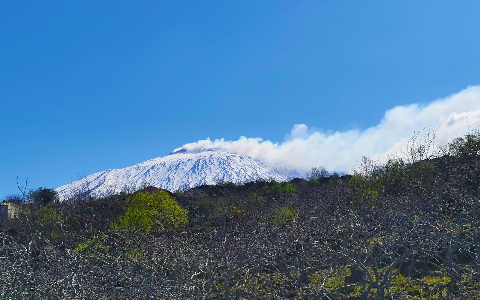 Etna Park Full-Day Jeep Tour & Diving Tour of the Cyclopean Isles tickets in Catania - Activities | TickYourList