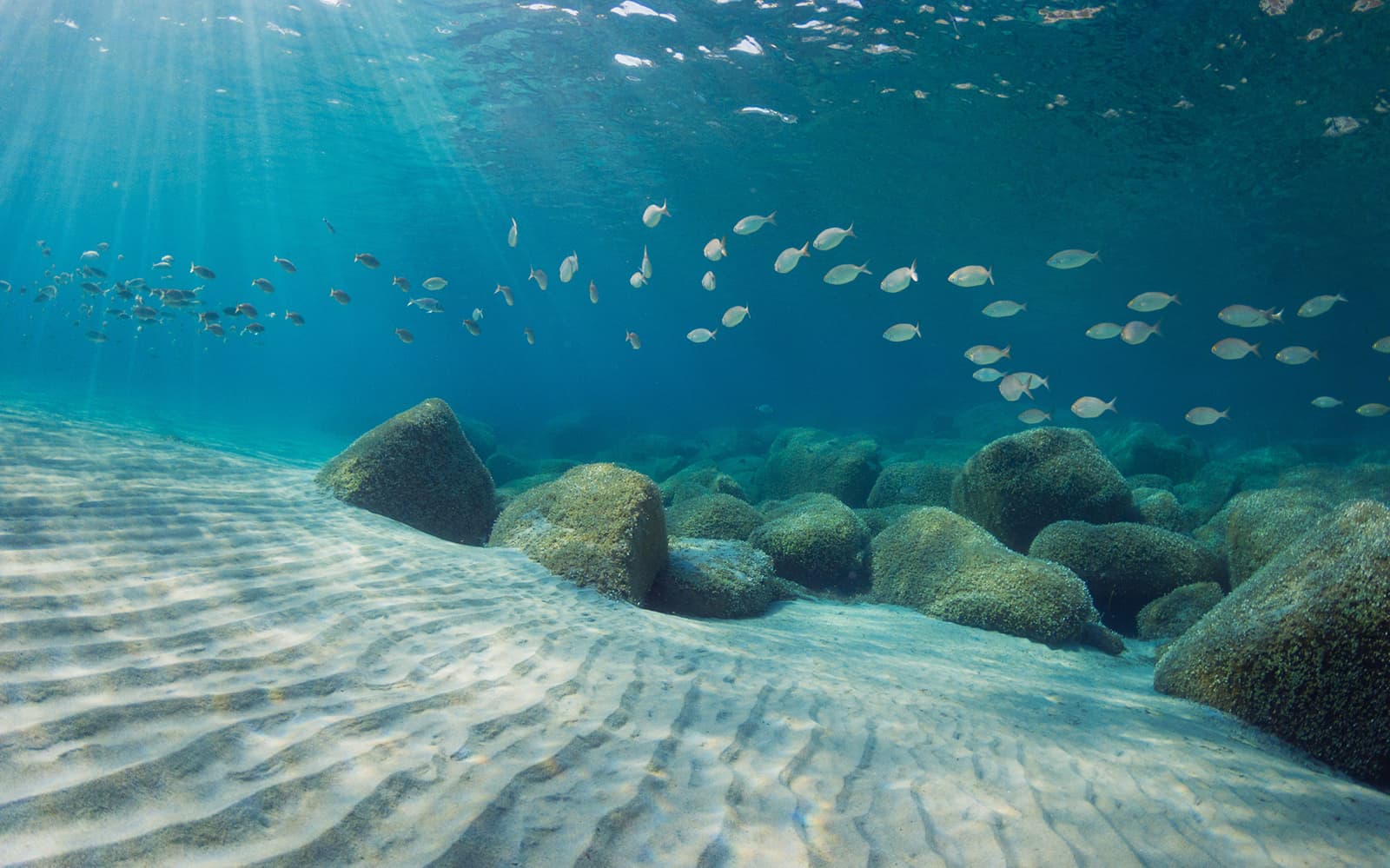 Scuba Diving at the Gulf of Catania tickets in Catania - Full Experience | TickYourList