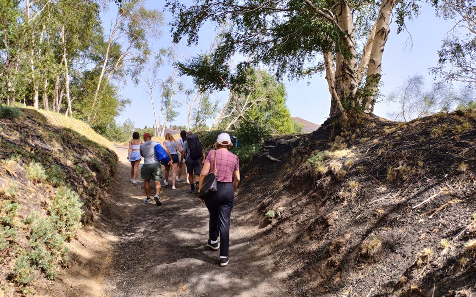 Mount Etna Guided Trek with Food Tasting & Transport from Taormina & Giardini Naxos tickets in Catania - Highlights | TickYourList