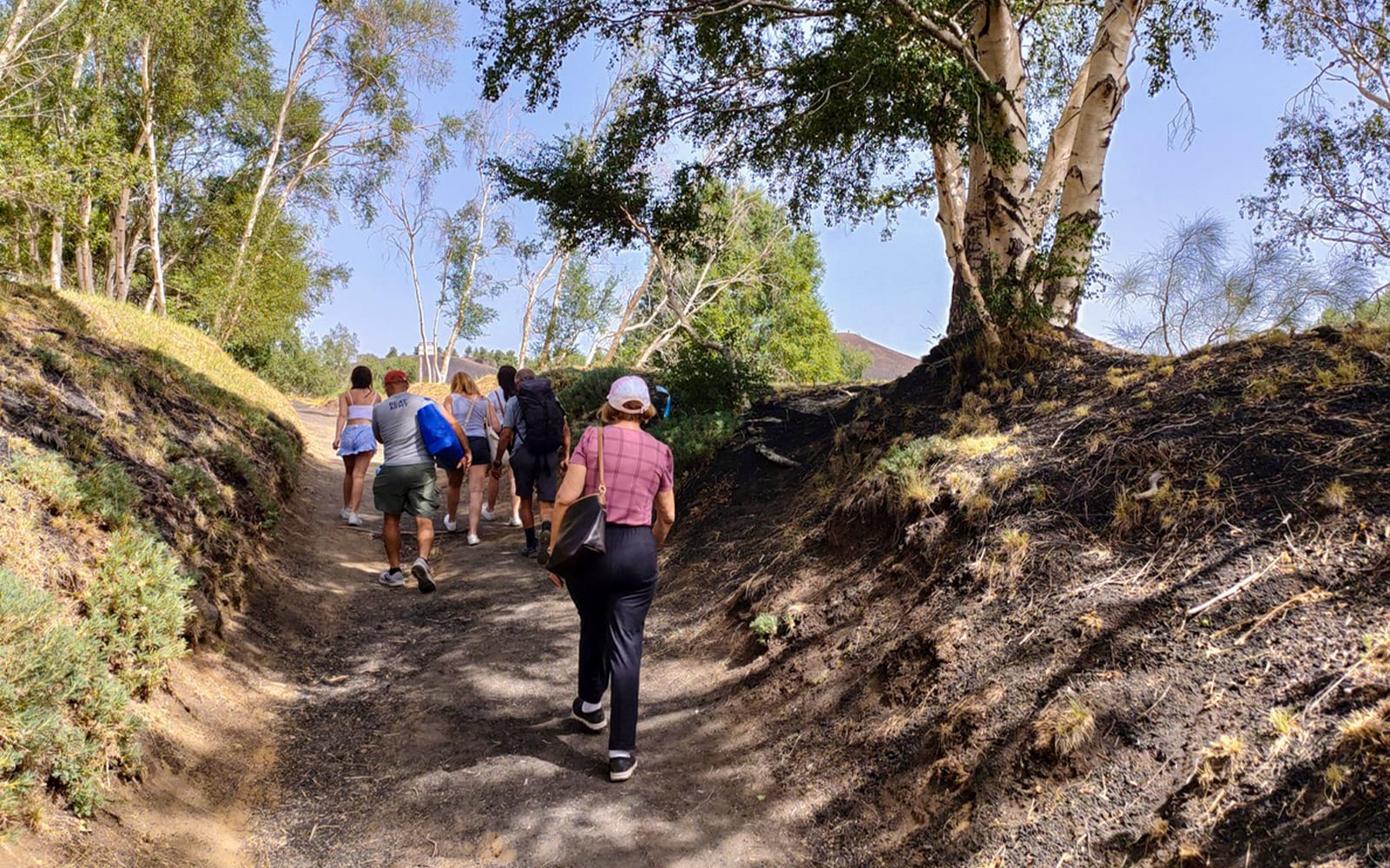 Mount Etna Half-Day Guided Tour with Tasting & Transport from Taormina & Giardini Naxos tickets in Catania - Attractions | TickYourList