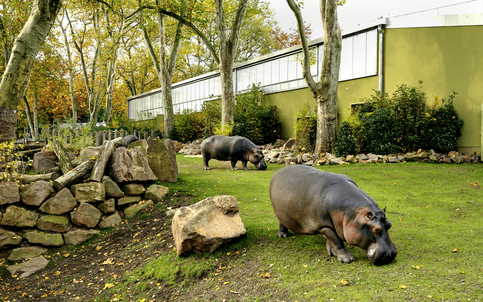 Cologne Zoo and Aquarium Entry Tickets in Cologne - Attractions | TickYourList