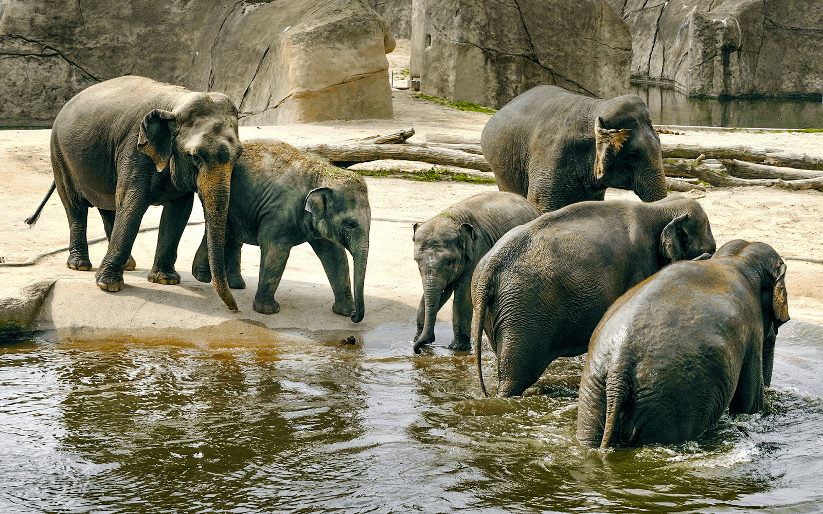 Cologne Zoo and Aquarium Entry Tickets in Cologne - Activities | TickYourList