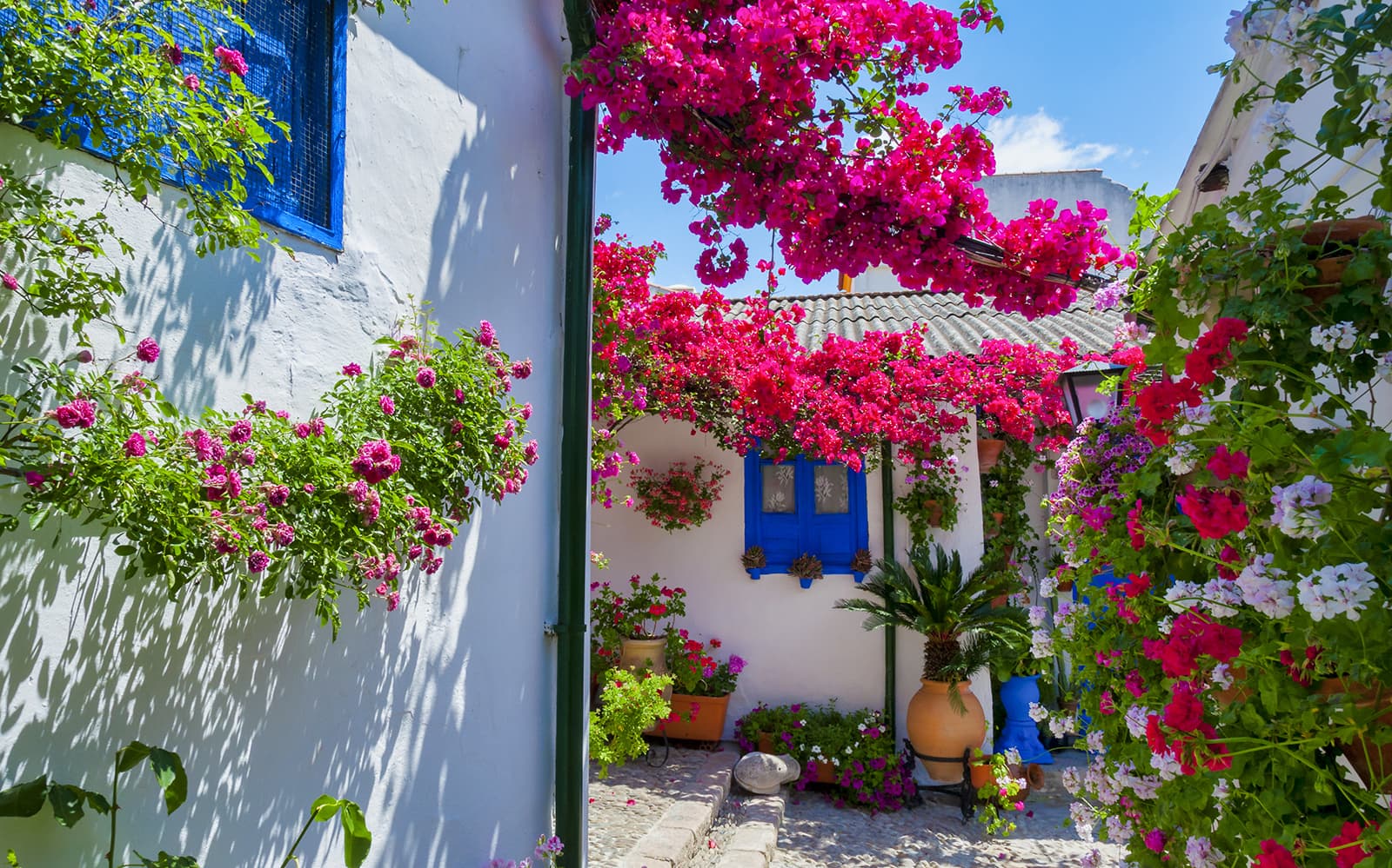Authentic Patios of Cordoba Skip-the-Line Guided Tour