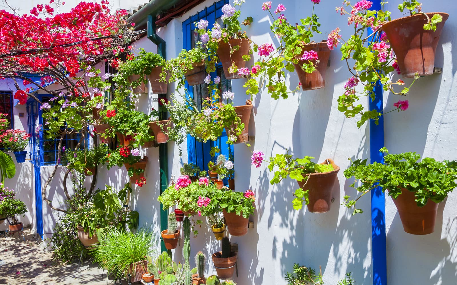 Authentic Patios of Cordoba Skip-the-Line Guided Tour tickets in Cordoba - Attractions | TickYourList