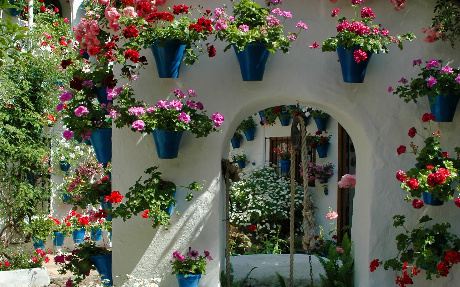 Authentic Patios of Cordoba Skip-the-Line Guided Tour tickets in Cordoba - Explore More | TickYourList