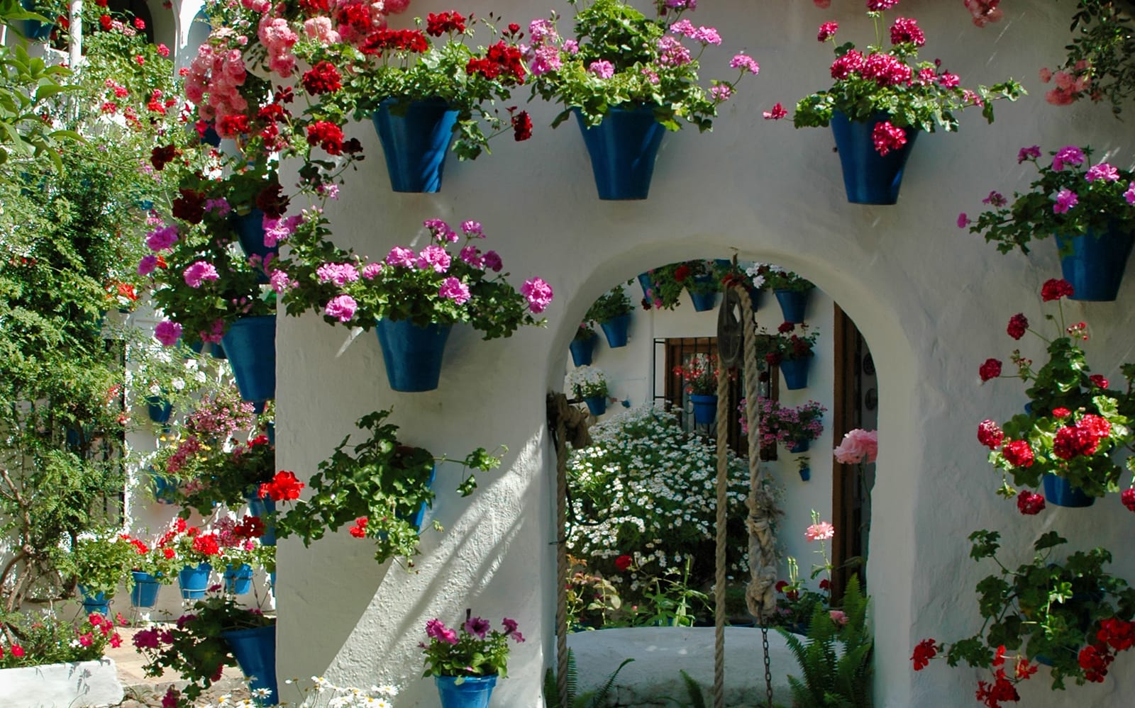 Authentic Patios of Cordoba Skip-the-Line Guided Tour tickets in Cordoba - Explore More | TickYourList