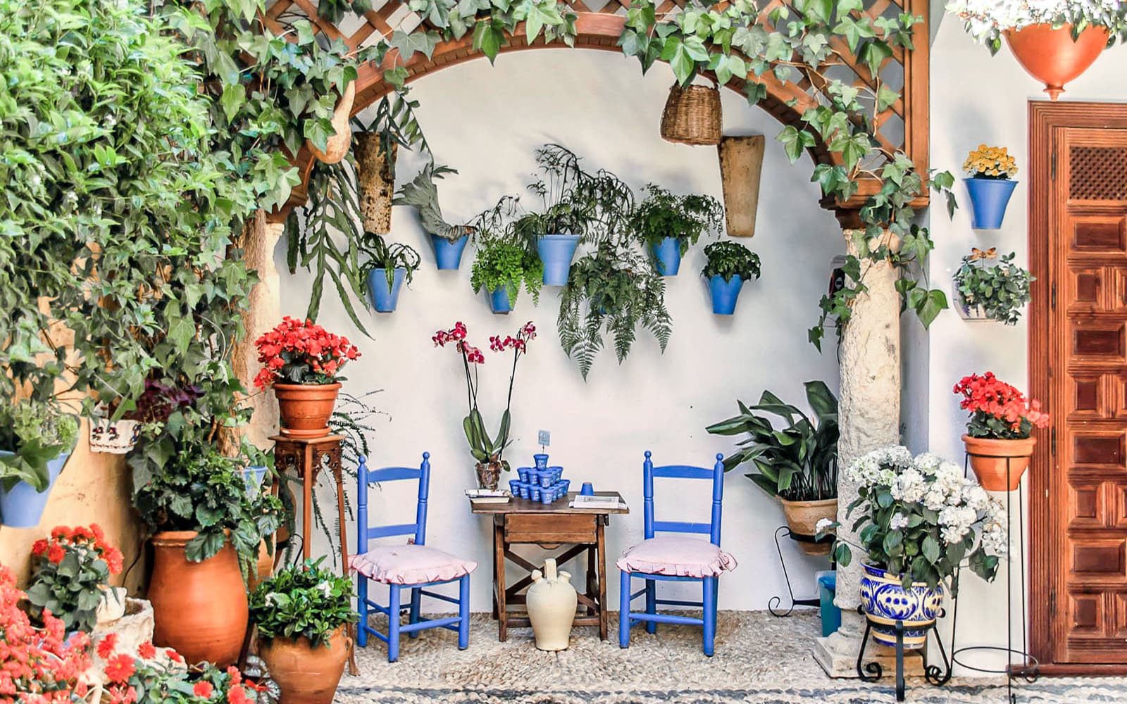 Popular Patios of Córdoba Guided Tour