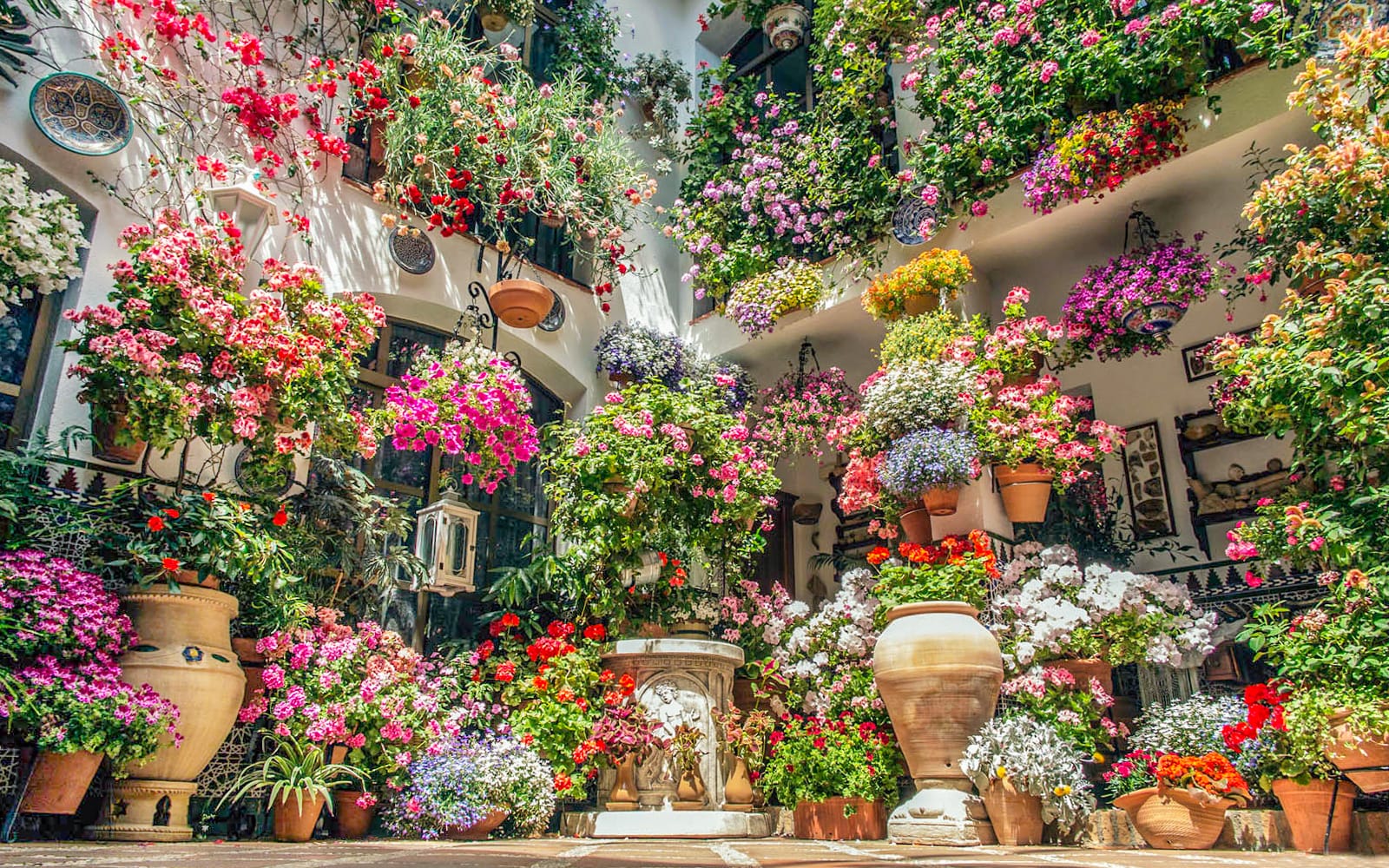 Popular Patios of Córdoba Guided Tour tickets in Cordoba - Attractions | TickYourList