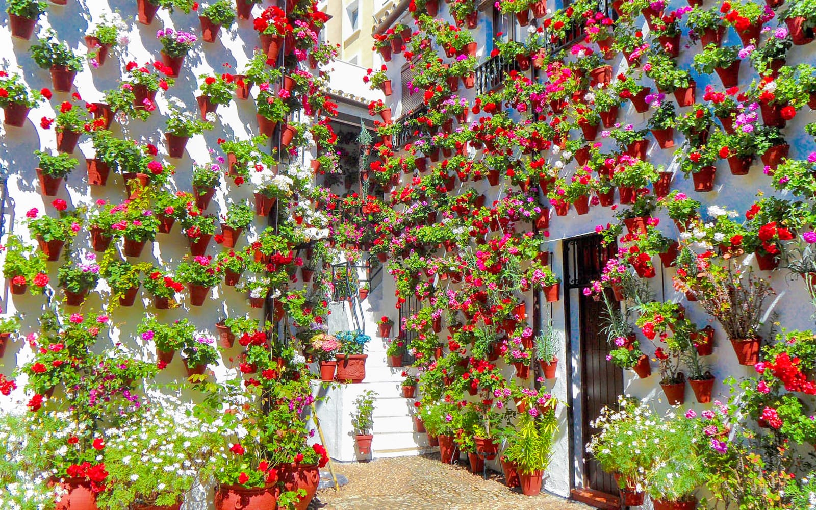 Popular Patios of Córdoba Guided Tour tickets in Cordoba - Activities | TickYourList