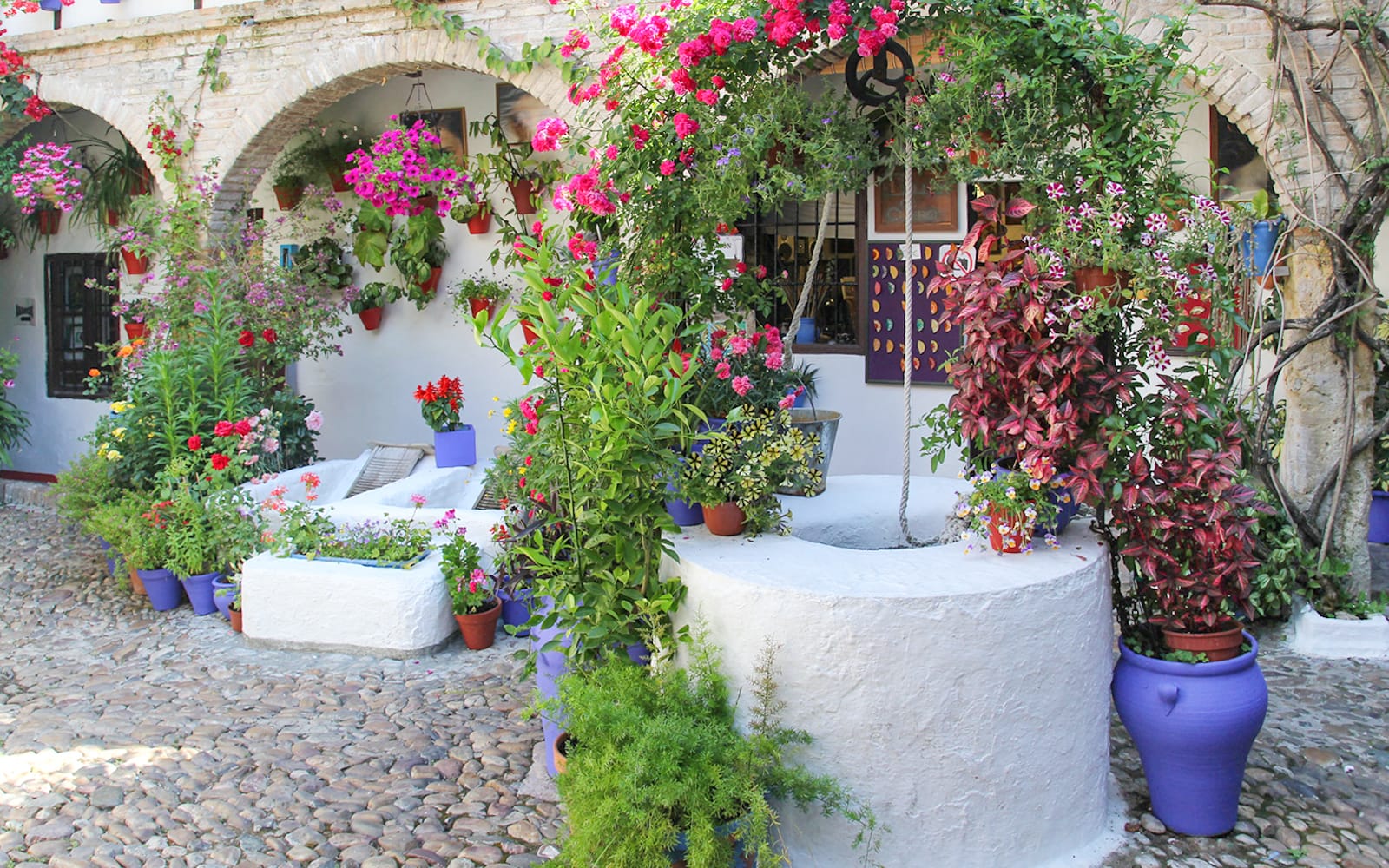 Popular Patios of Córdoba Guided Tour tickets in Cordoba - Highlights | TickYourList