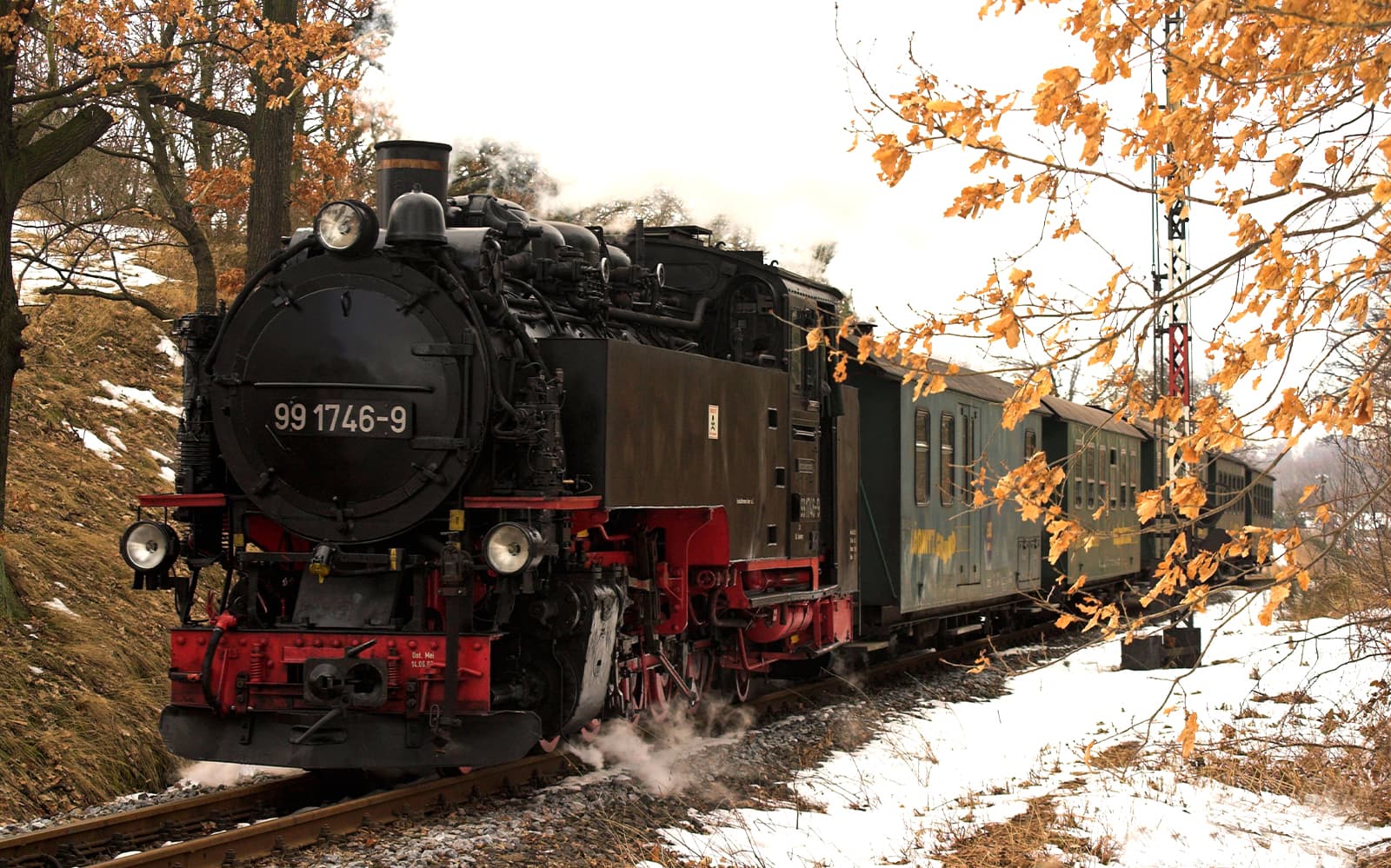 Dresden Regional Card tickets in Dresden - Highlights | TickYourList