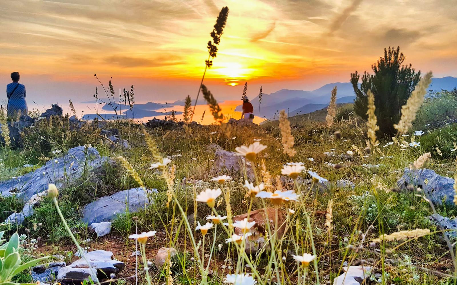 Dubrovnik Sunset with Toast tickets in Dubrovnik - Attractions | TickYourList