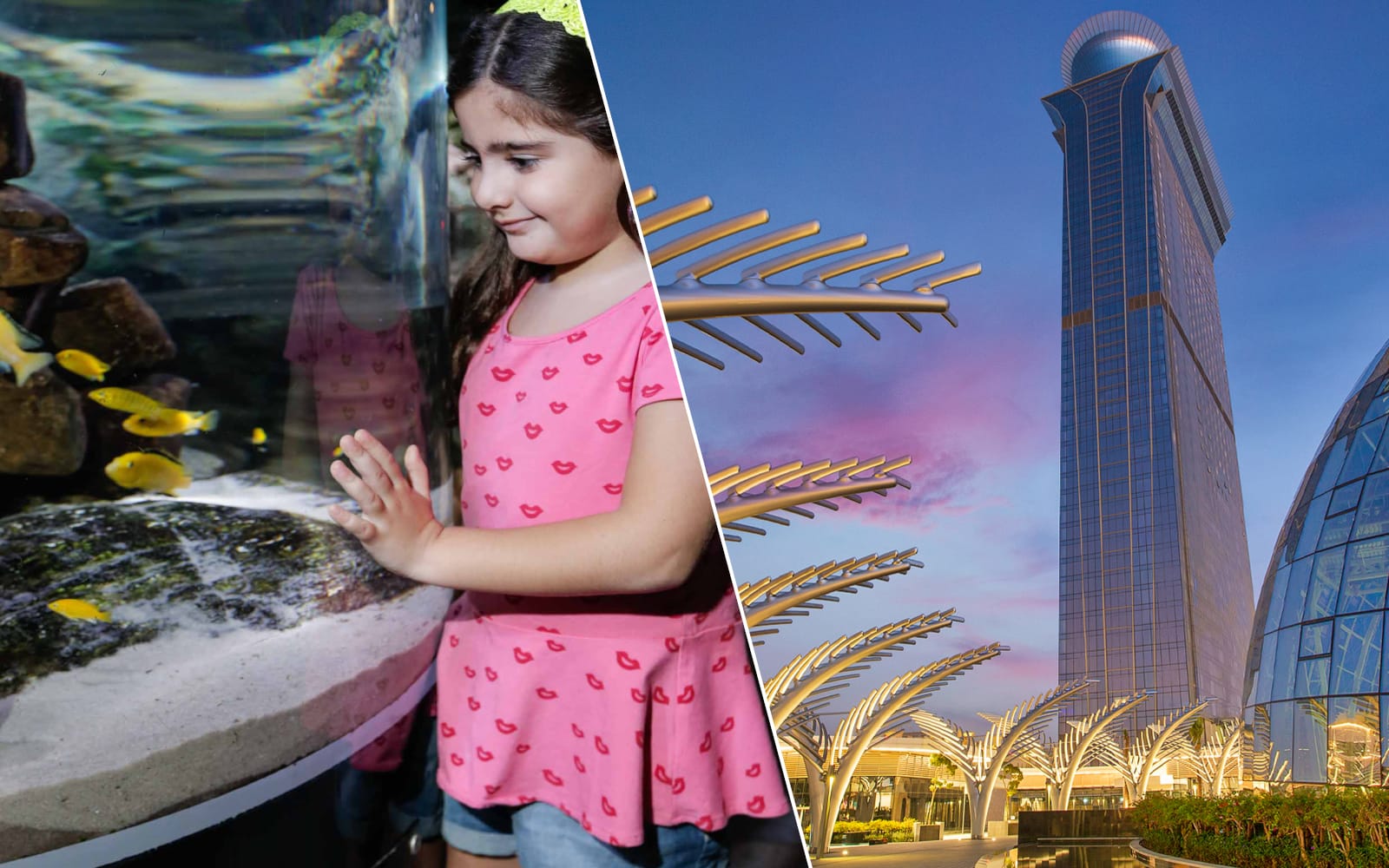 cb5f940f-c31f-442d-a10c-5b0f1f20be2d-15230-DubaiAquarium-ViewatthePalm-DubaiFrame.jpg