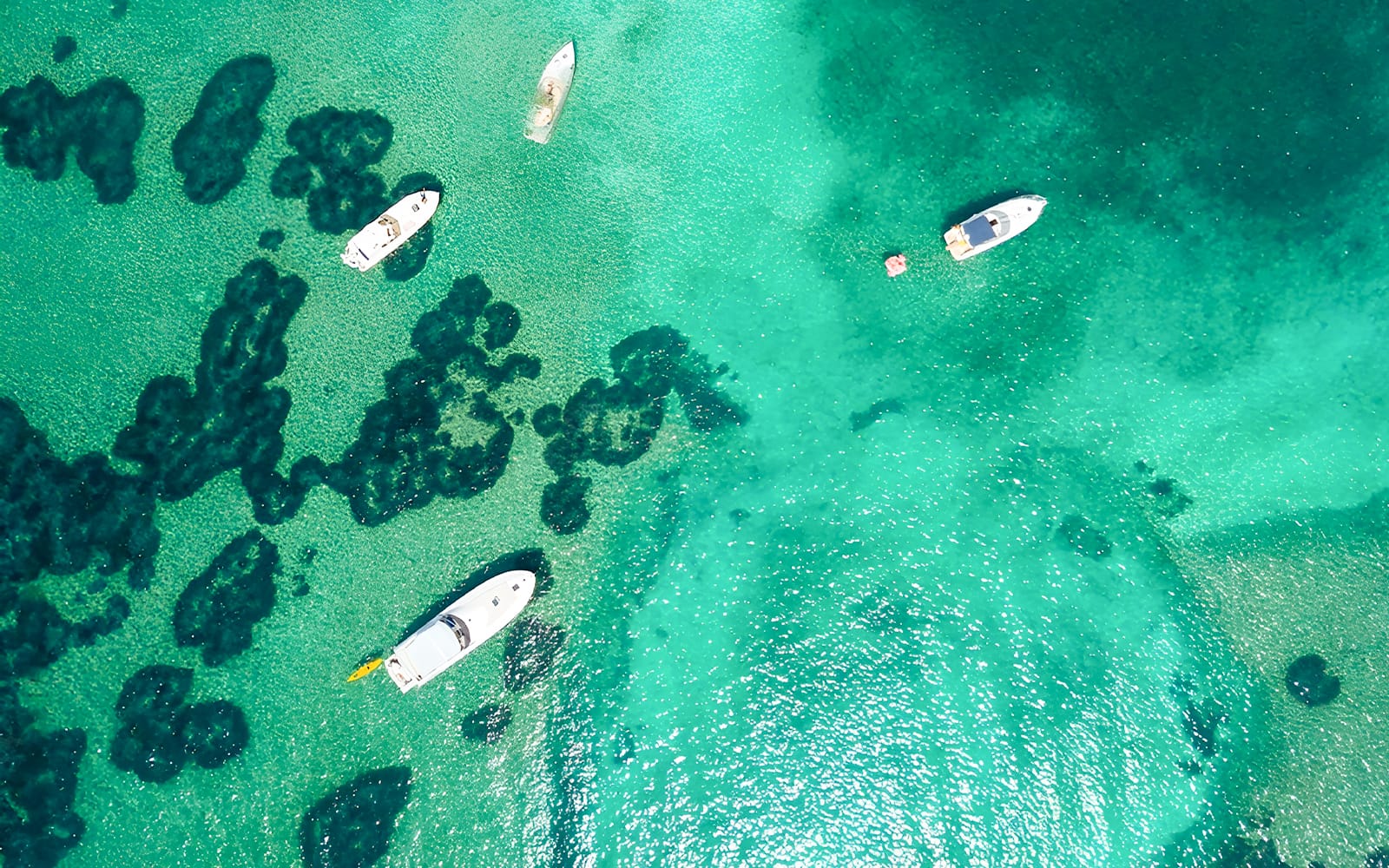 Dubrovnik: Boat Tour to Blue Cave & Elaphiti Islands with Unlimited Drinks tickets in Dubrovnik - Features | TickYourList