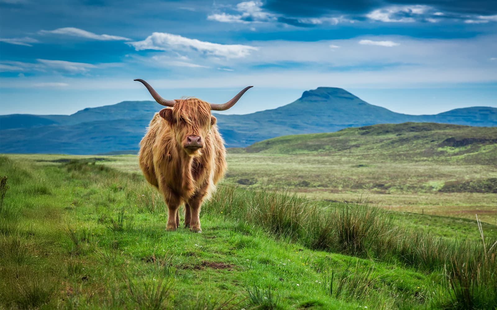 From Edinburgh: Loch Ness and The Highlands Day Trip with Lunch & Optional Cruise tickets in Edinburgh - Attractions | TickYourList
