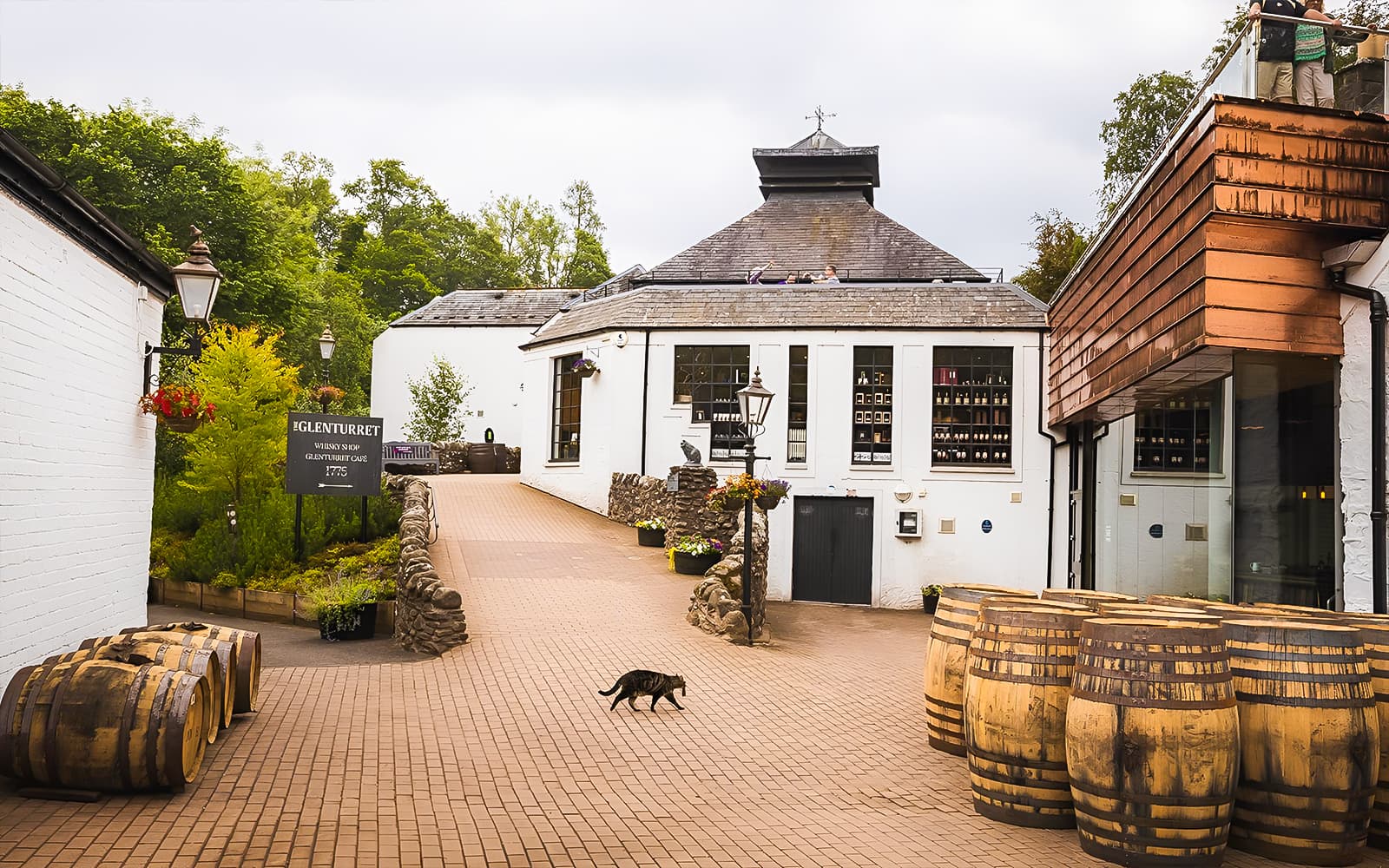 Day Tour Whisky & Waterfalls with Transfers from Edinburgh & Distillery Entry tickets in Edinburgh - Attractions | TickYourList