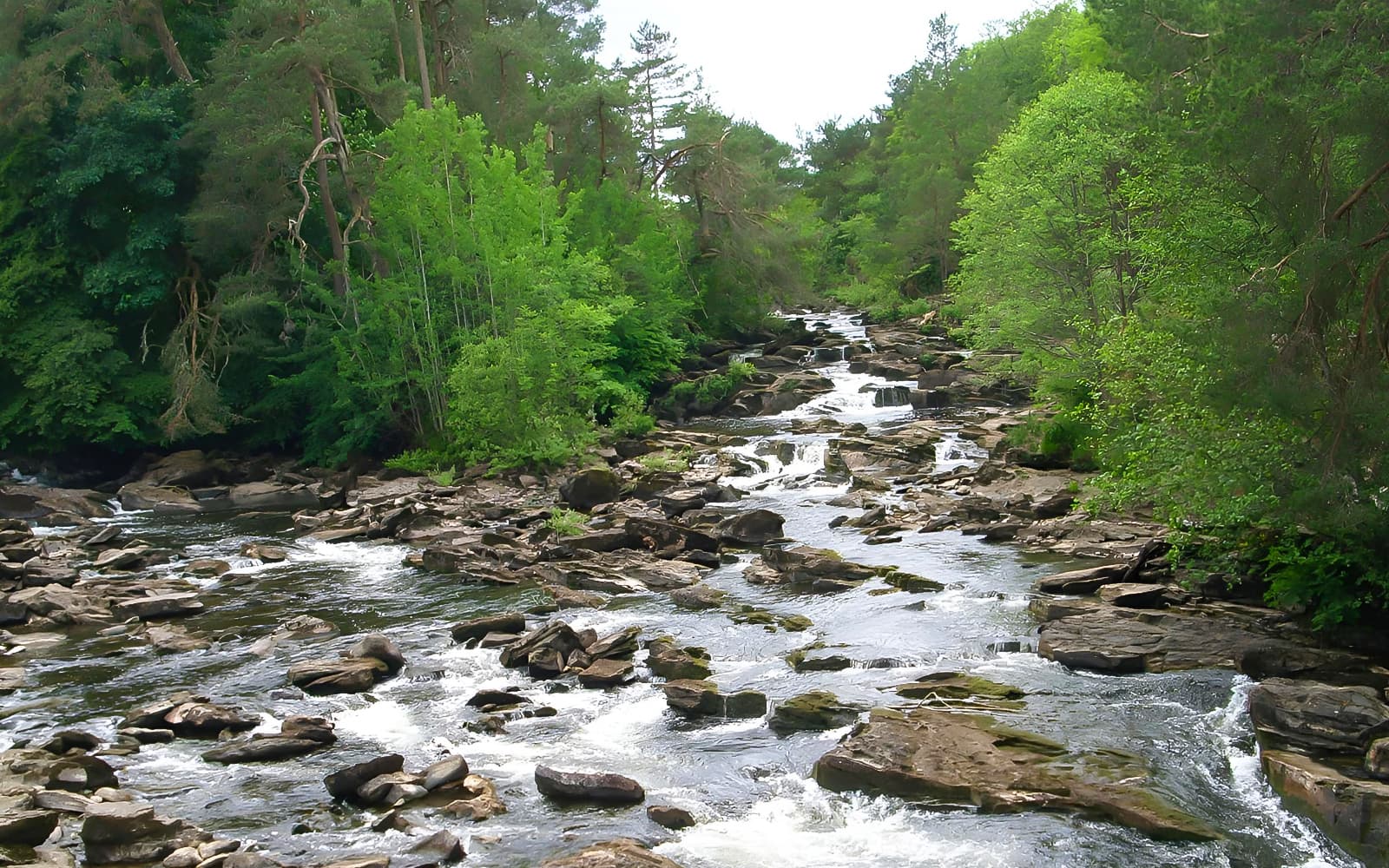 Day Tour of Loch Lomond, Stirling Castle & The Kelpies from Edinburgh tickets in Edinburgh - Attractions | TickYourList