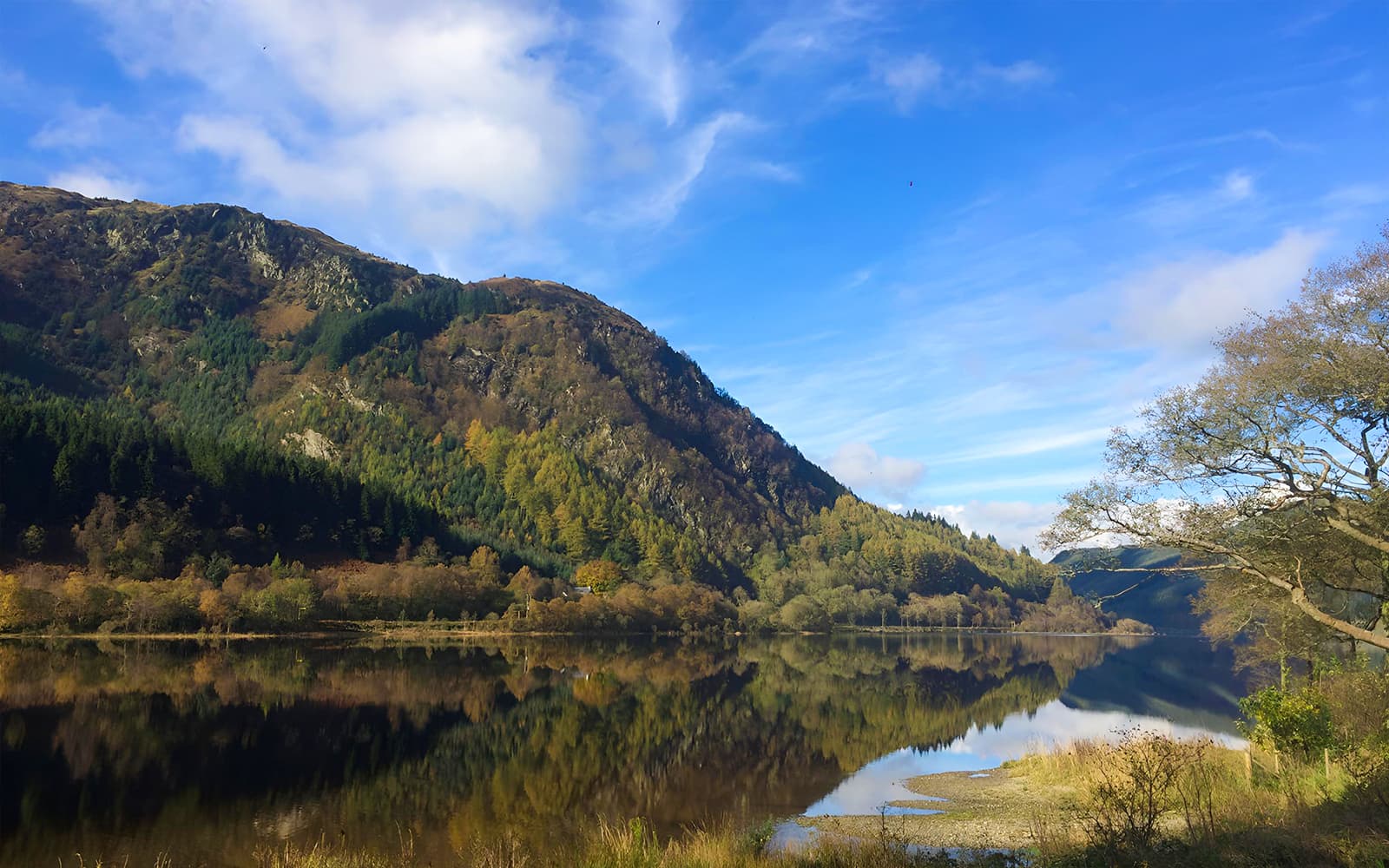Day Tour of Loch Lomond, Stirling Castle & The Kelpies from Edinburgh tickets in Edinburgh - Activities | TickYourList