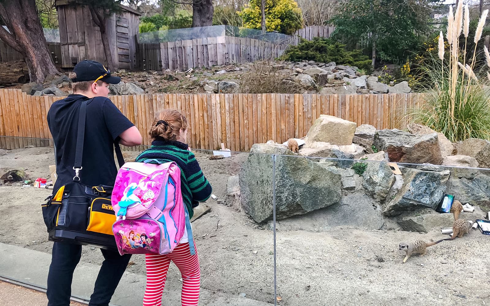 Edinburgh Zoo Entrance Tickets in Edinburgh - Activities | TickYourList
