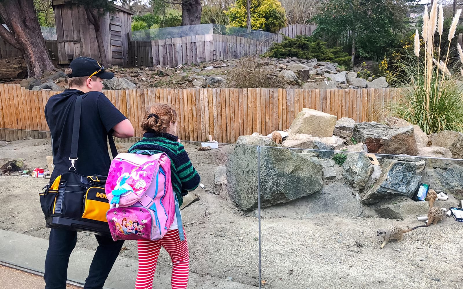 Edinburgh Zoo Entrance Tickets in Edinburgh - Activities | TickYourList