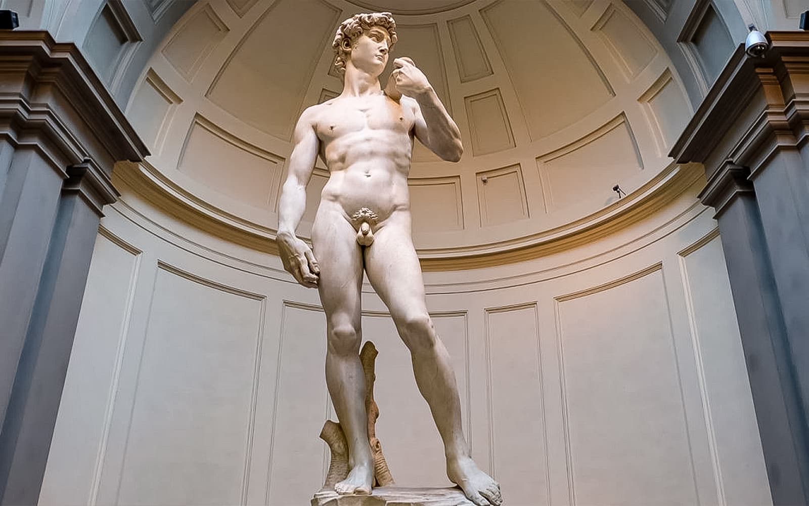 Accademia Gallery Priority Entry Tickets