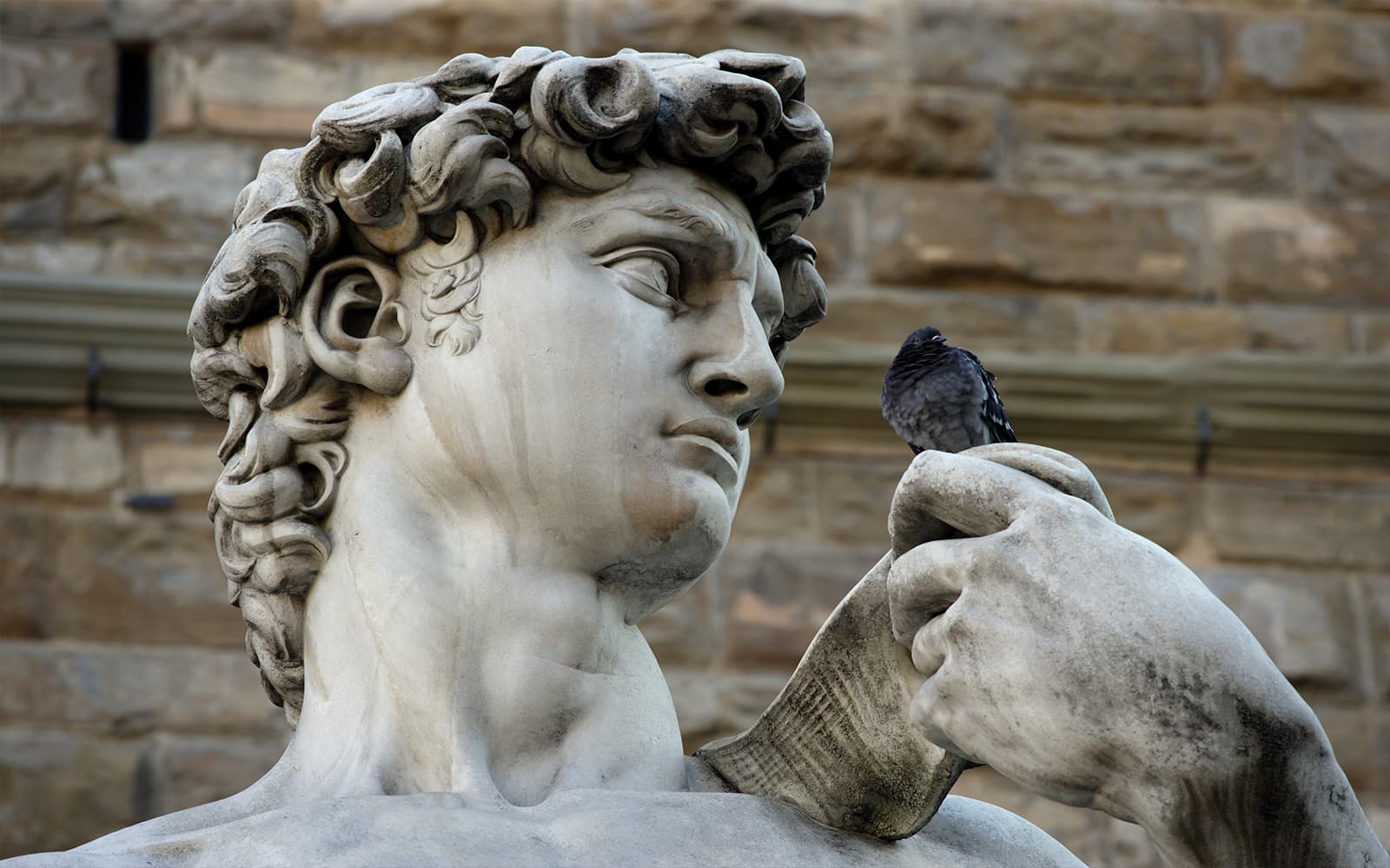 Guided Tour of Florence & Duomo with Accademia Gallery Reserved Entrance Tickets in Florence - Activities | TickYourList