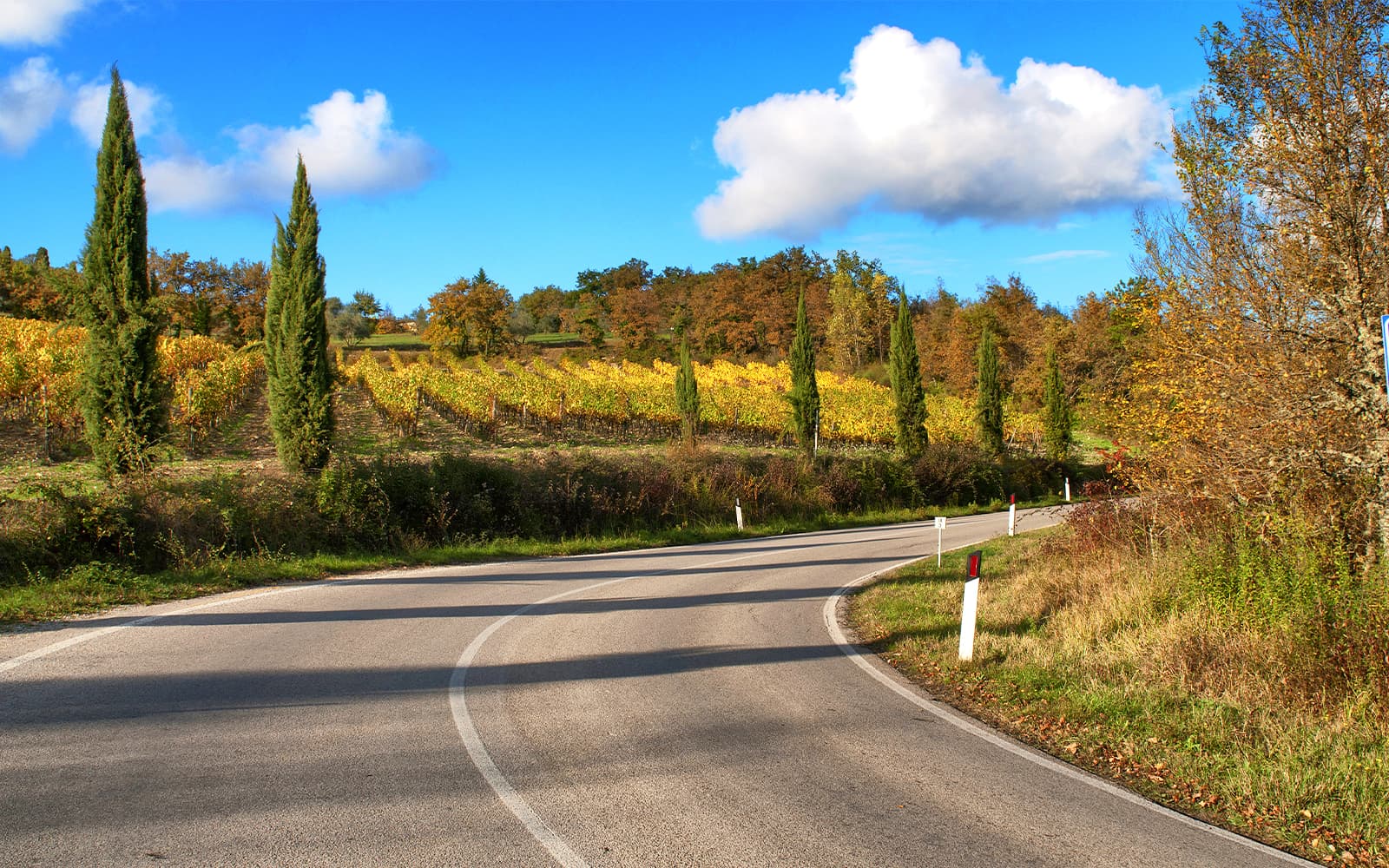 From Florence: Siena and Chianti Day Trip with Dinner & Regional Pairings tickets in Florence - Activities | TickYourList