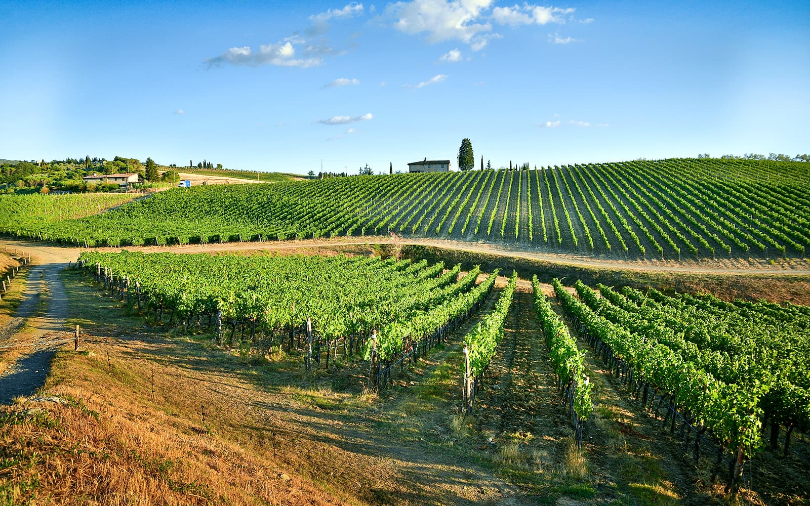 From Florence: Siena and Chianti Day Trip with Dinner & Regional Pairings tickets in Florence - Highlights | TickYourList
