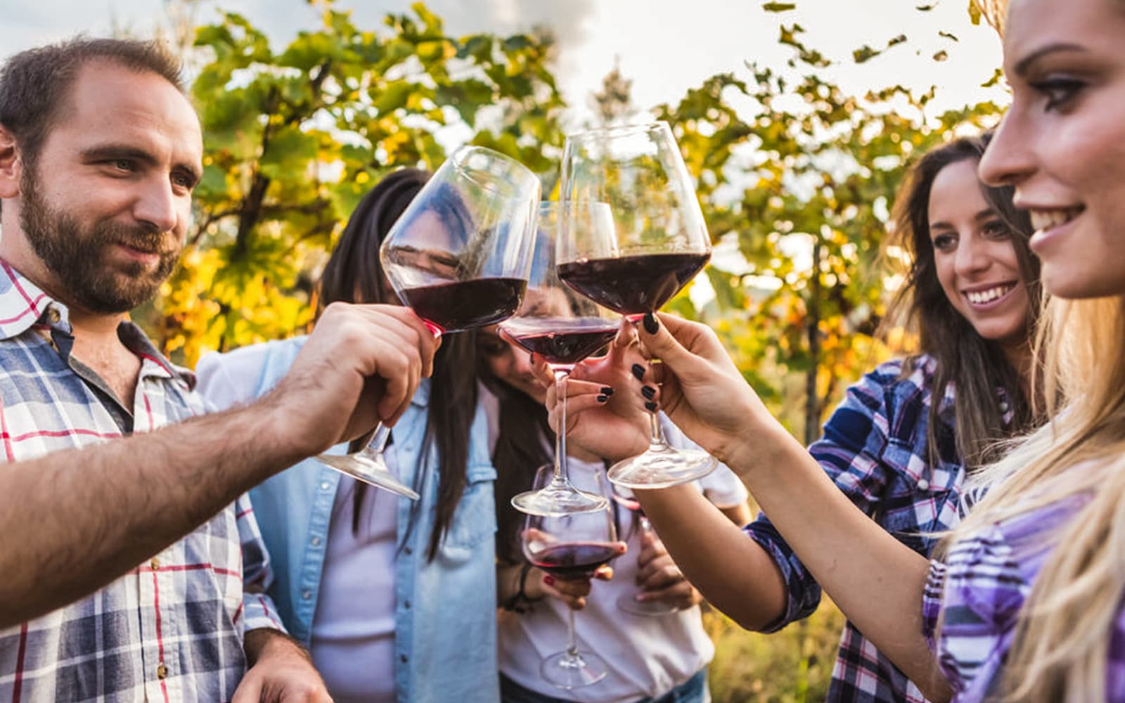 Authentic Tuscany - Wine Tour from Florence