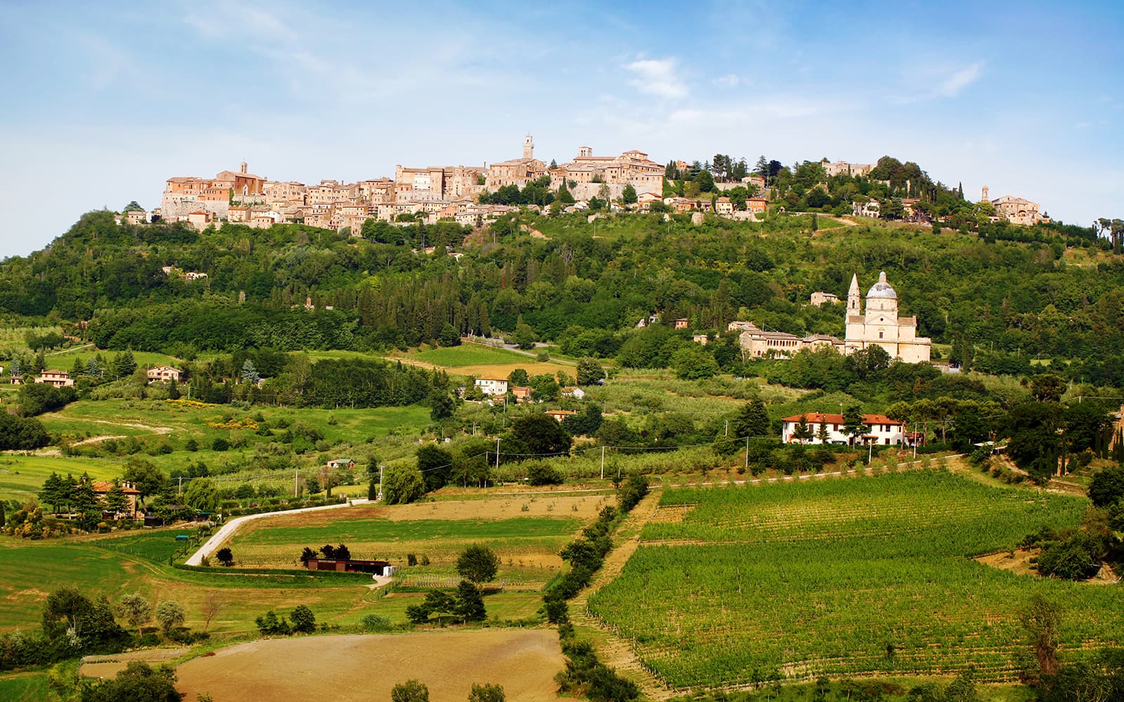 Chianti Classico, Montalcino, Montepulciano: Day Trip From Florence By Minivan